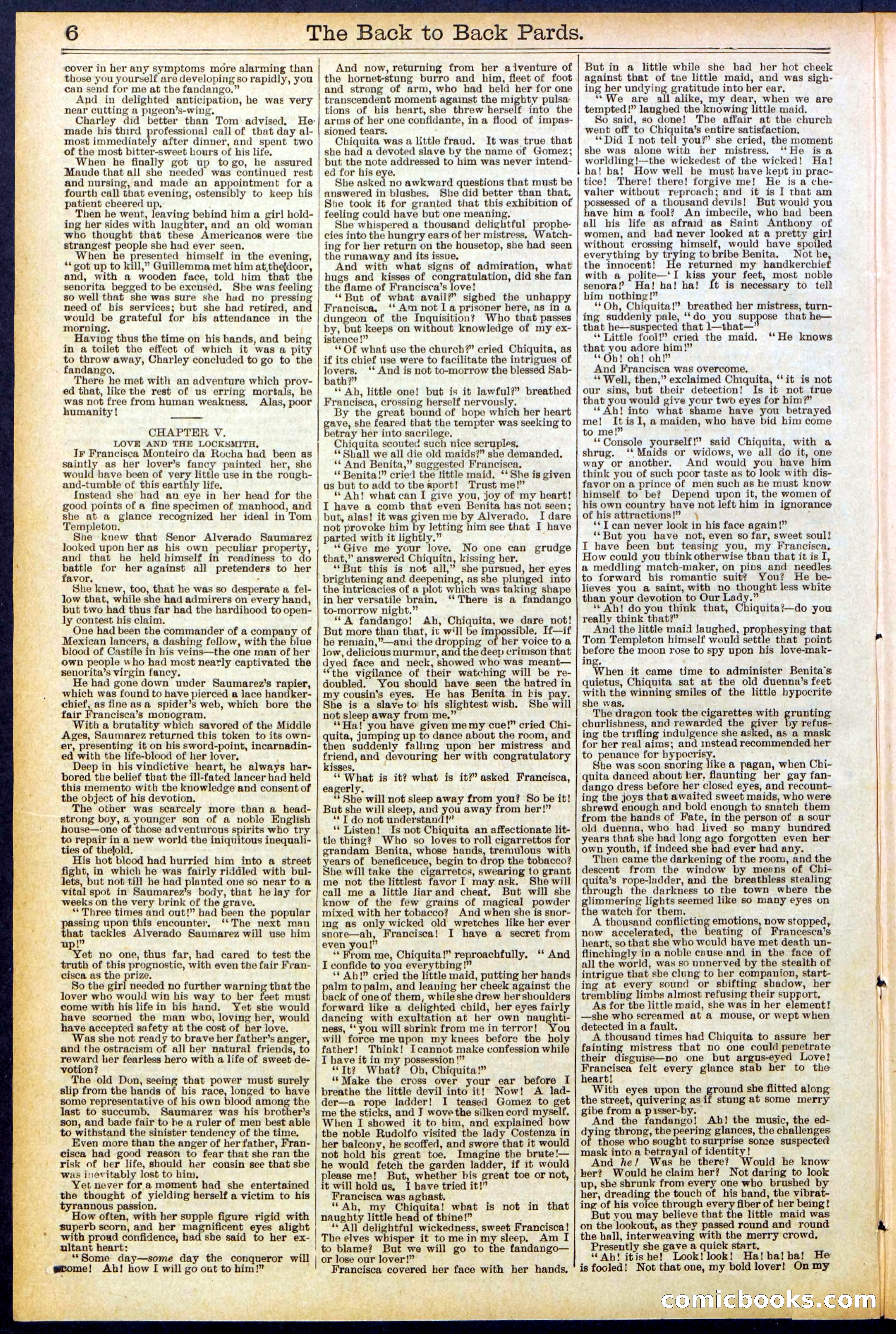 Beadle's New York Dime Library No. 544 — page 6 of 32