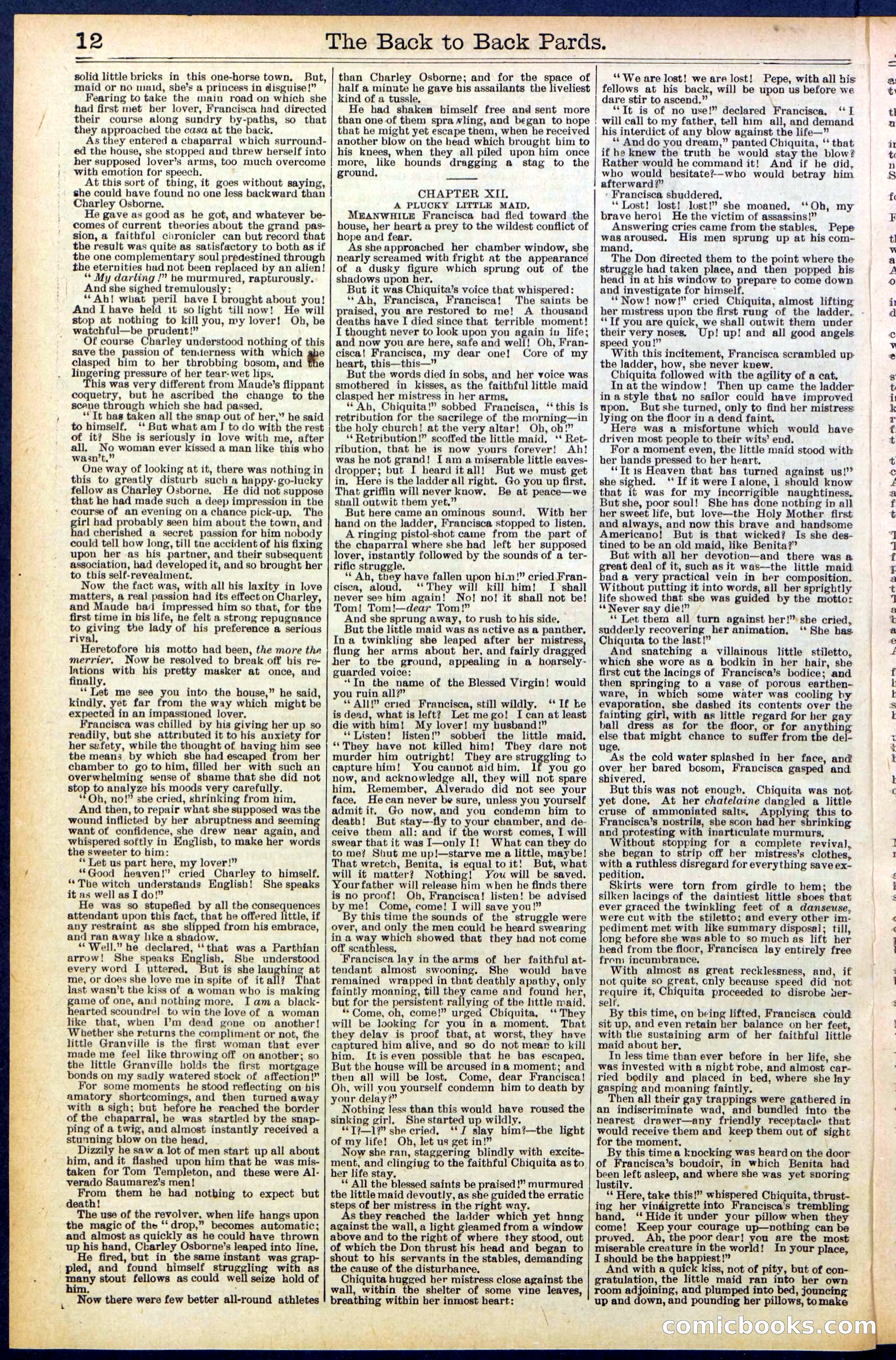 Beadle's New York Dime Library No. 544 — page 12 of 32