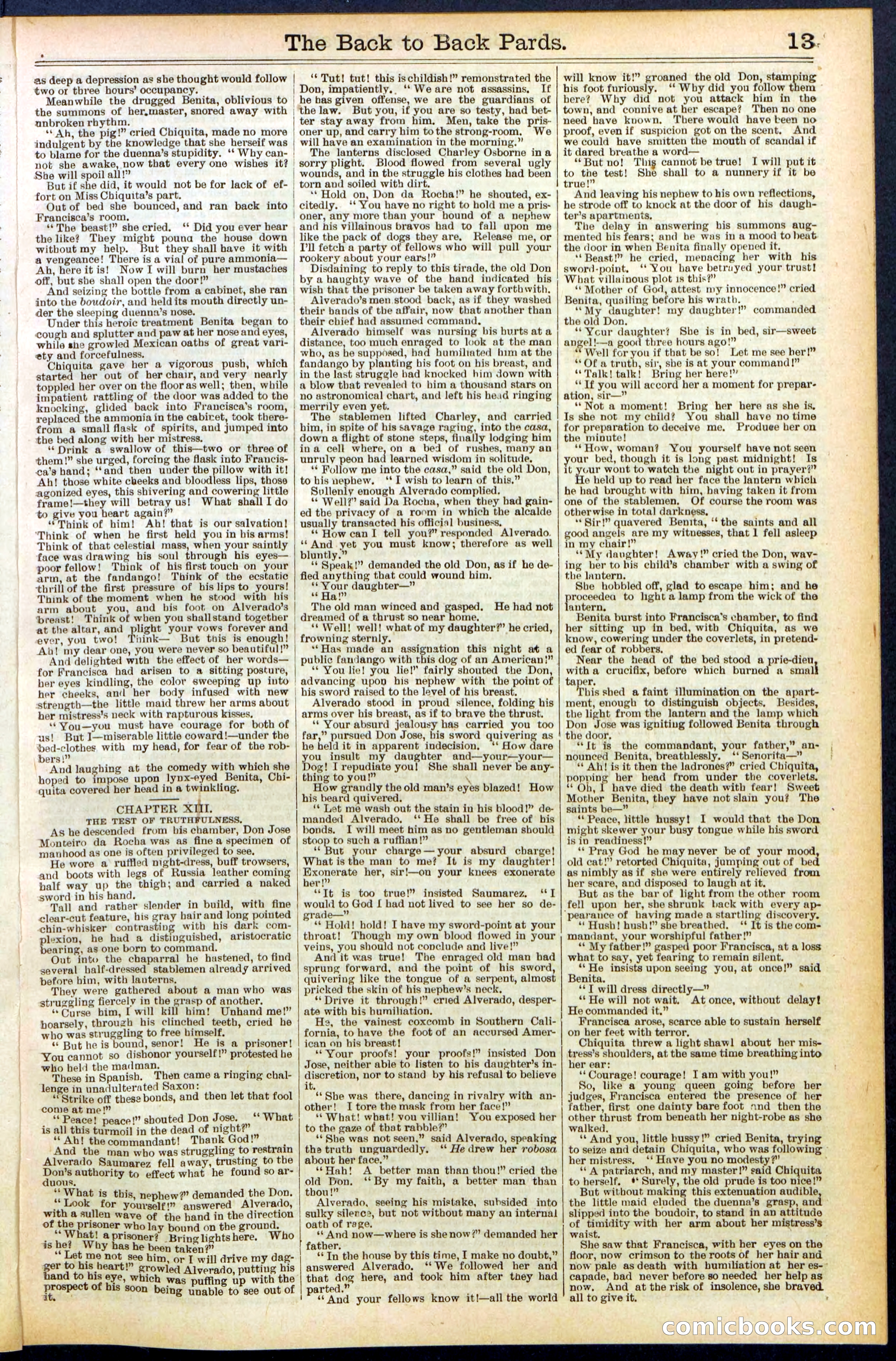 Beadle's New York Dime Library No. 544 — page 13 of 32