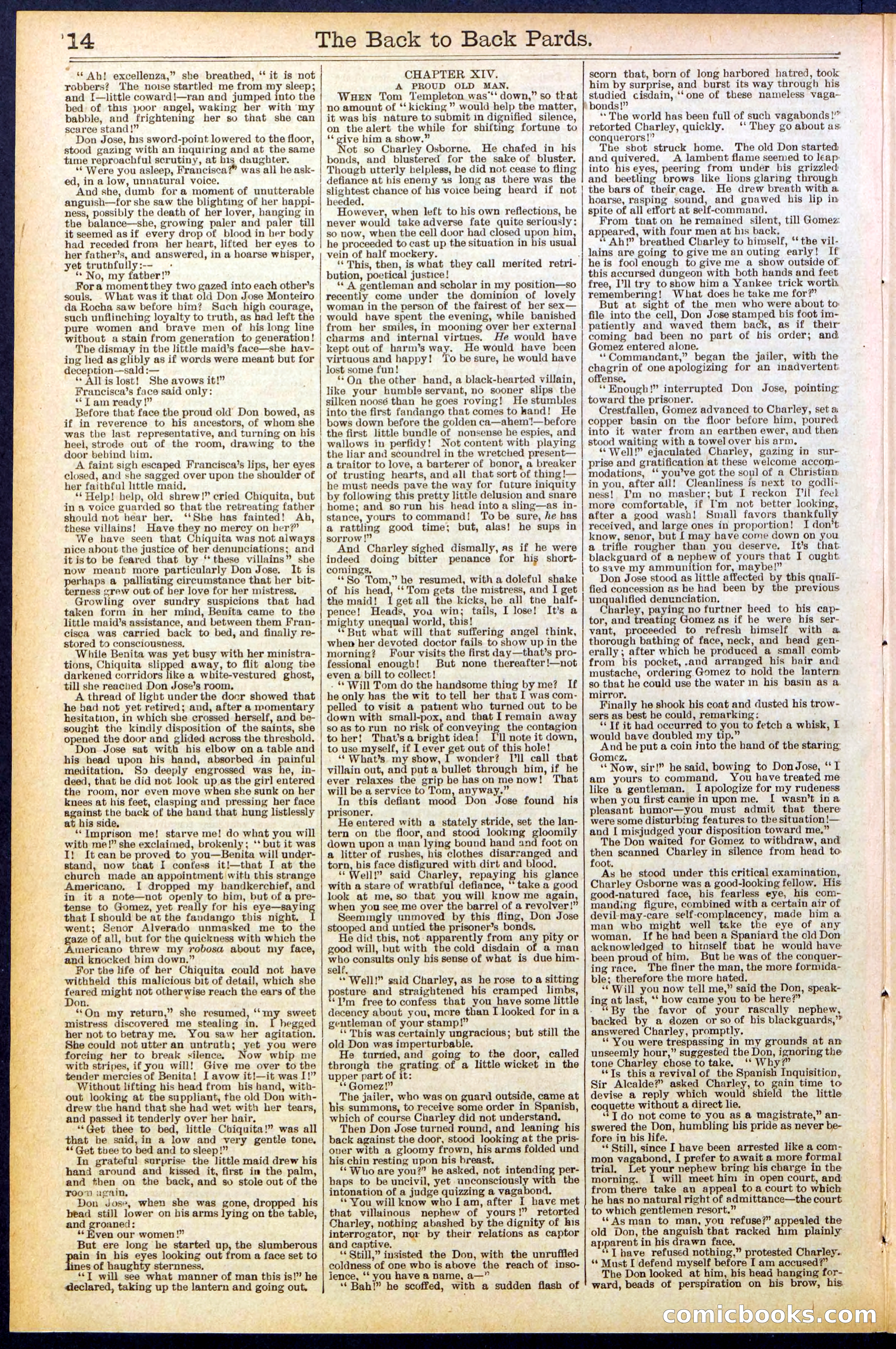 Beadle's New York Dime Library No. 544 — page 14 of 32