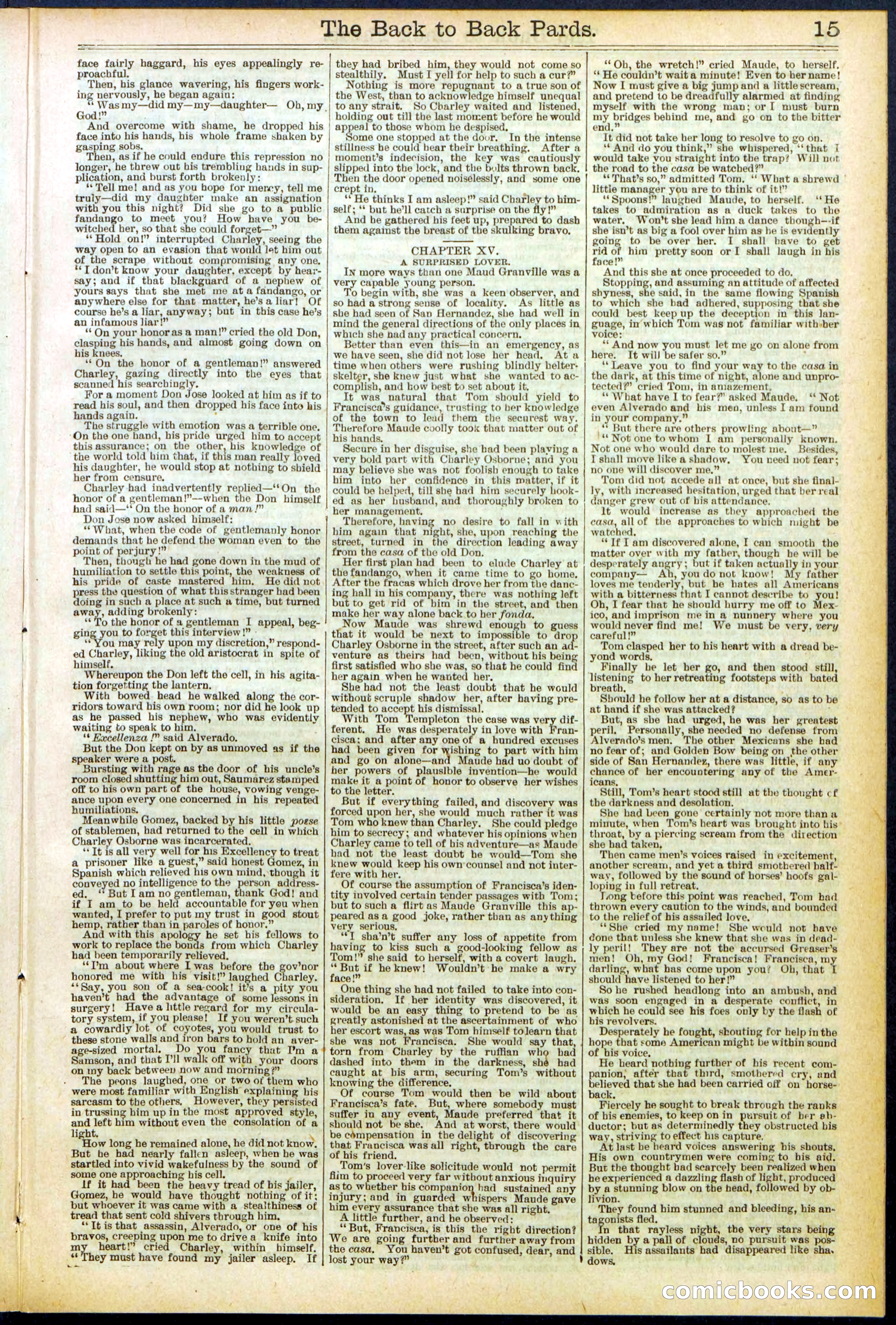 Beadle's New York Dime Library No. 544 — page 15 of 32