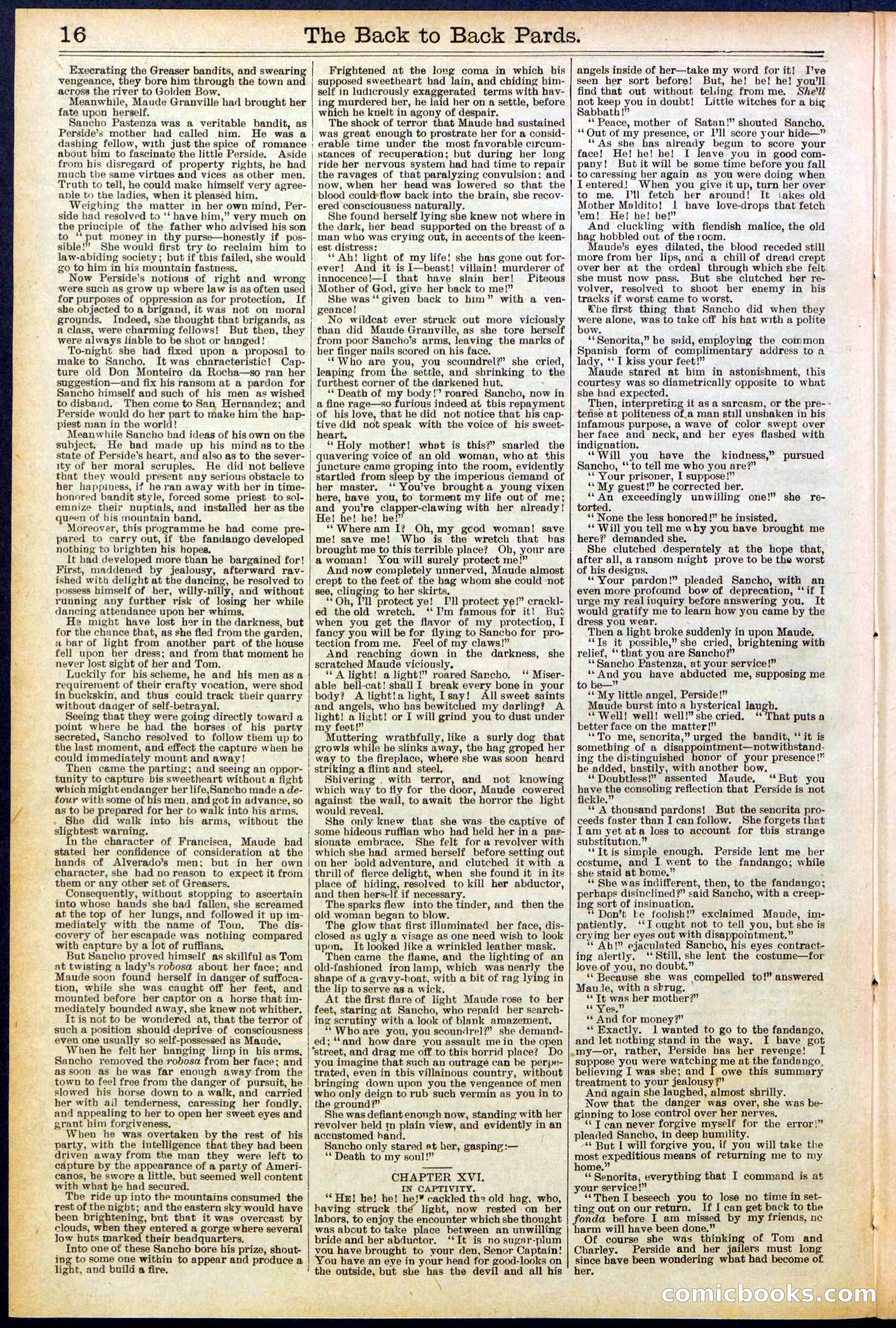 Beadle's New York Dime Library No. 544 — page 16 of 32
