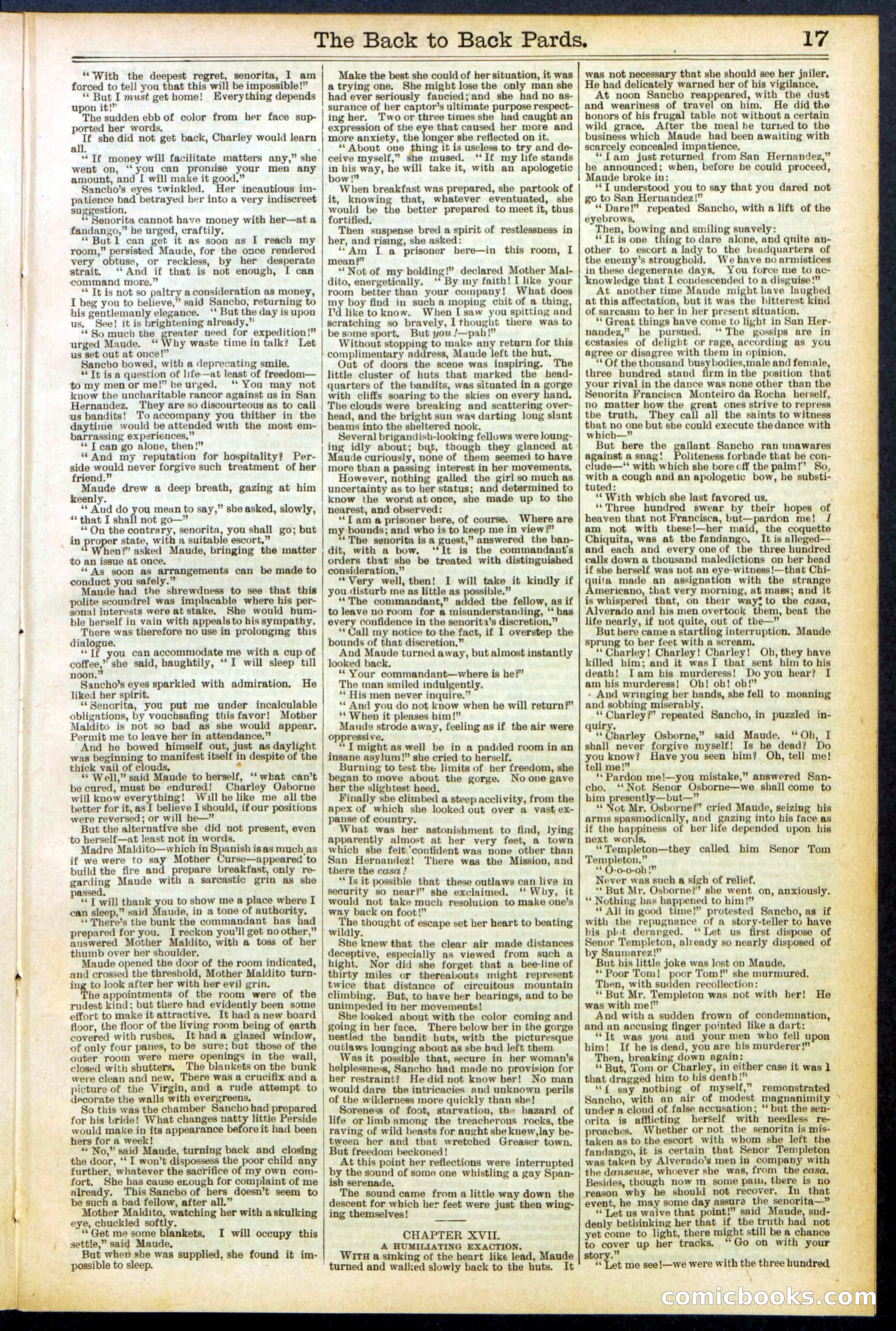 Beadle's New York Dime Library No. 544 — page 17 of 32