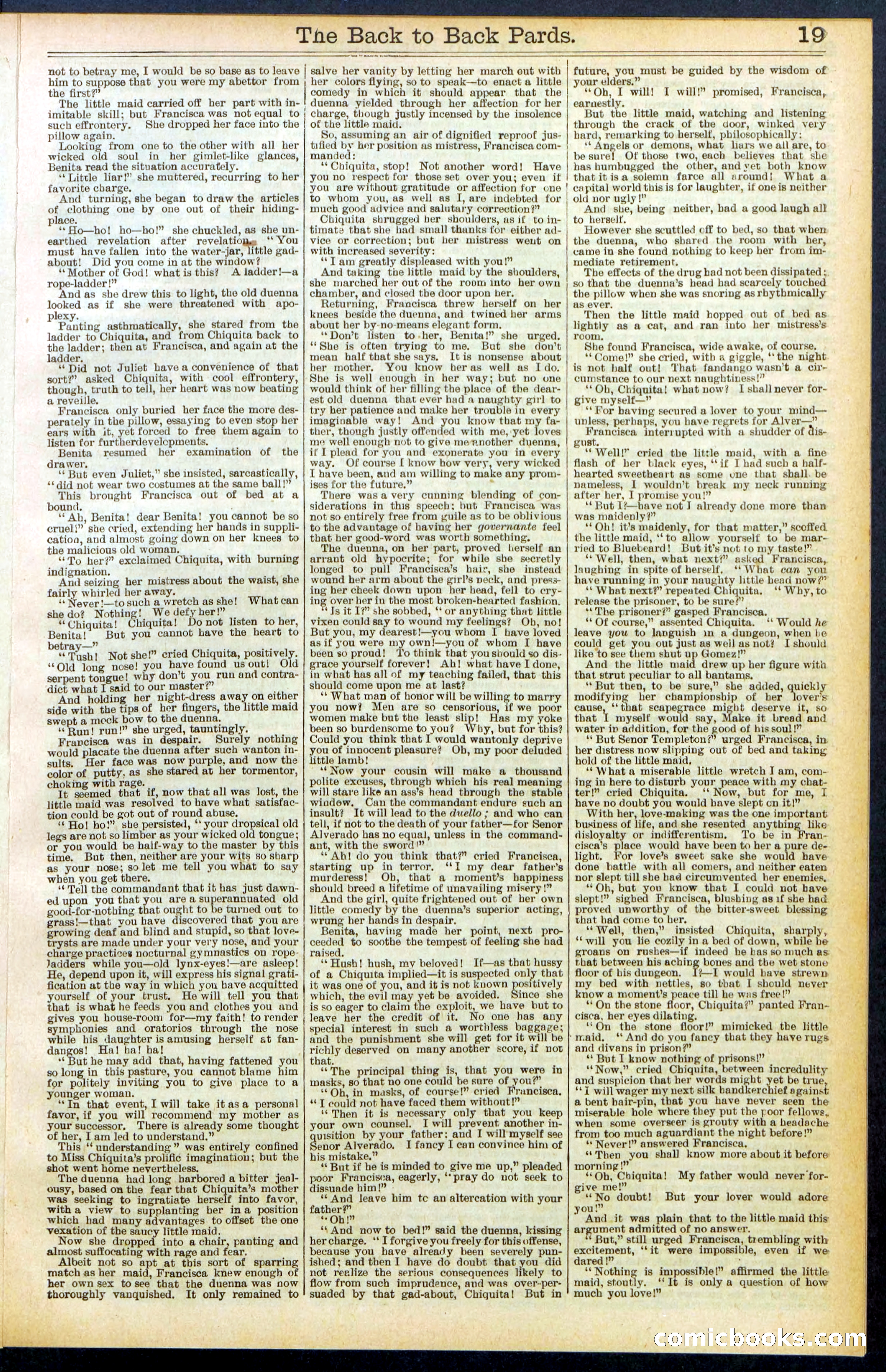 Beadle's New York Dime Library No. 544 — page 19 of 32