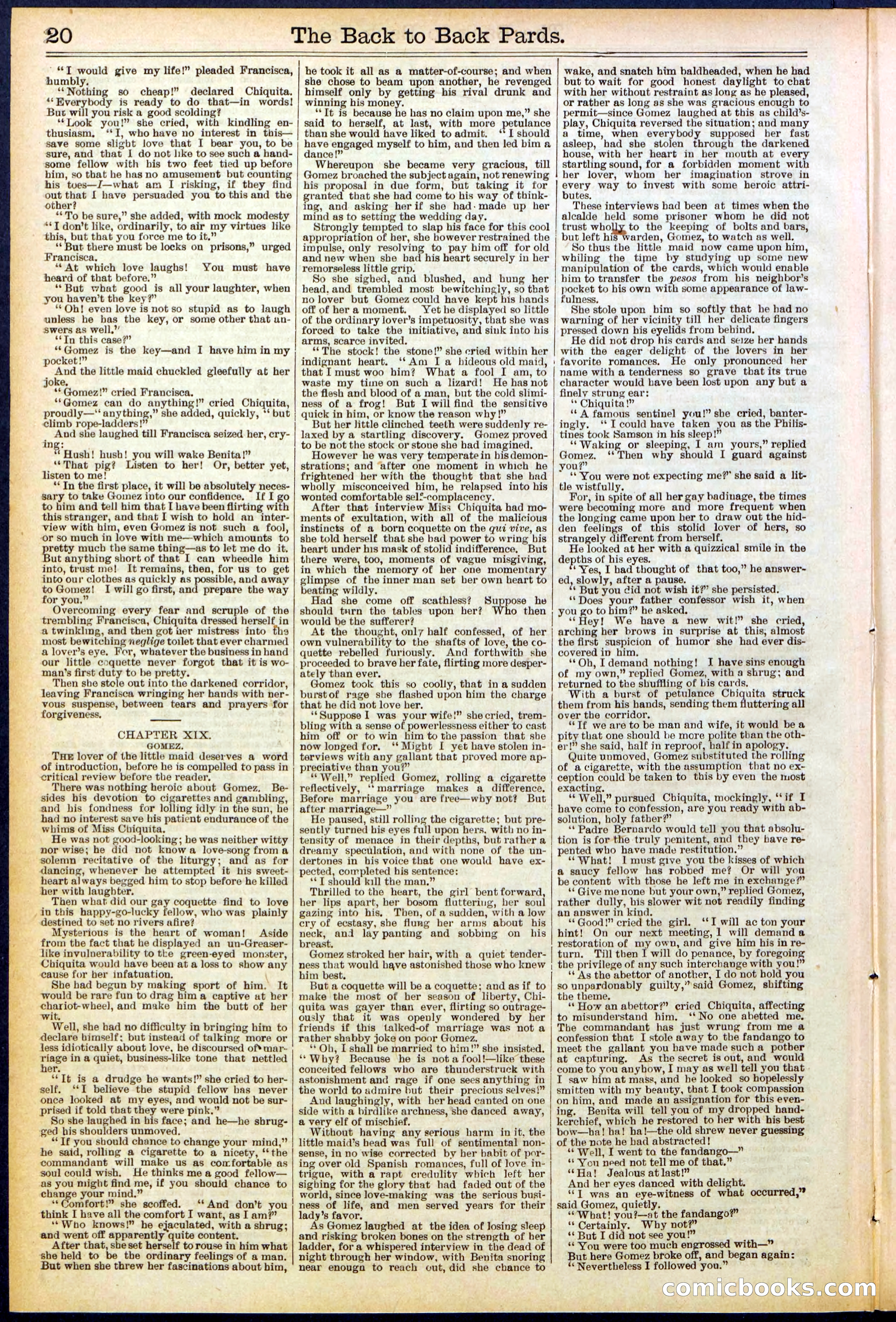 Beadle's New York Dime Library No. 544 — page 20 of 32