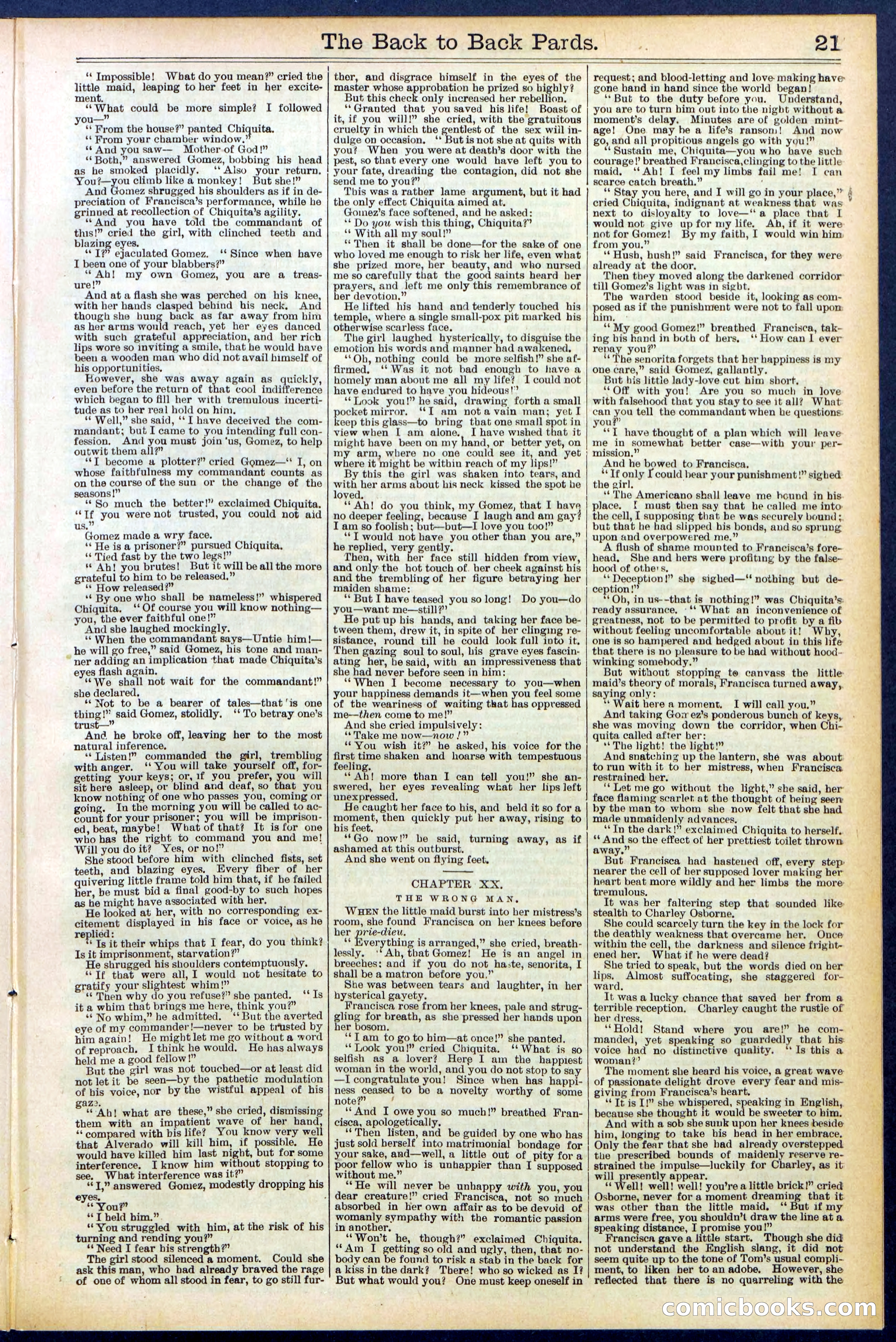 Beadle's New York Dime Library No. 544 — page 21 of 32