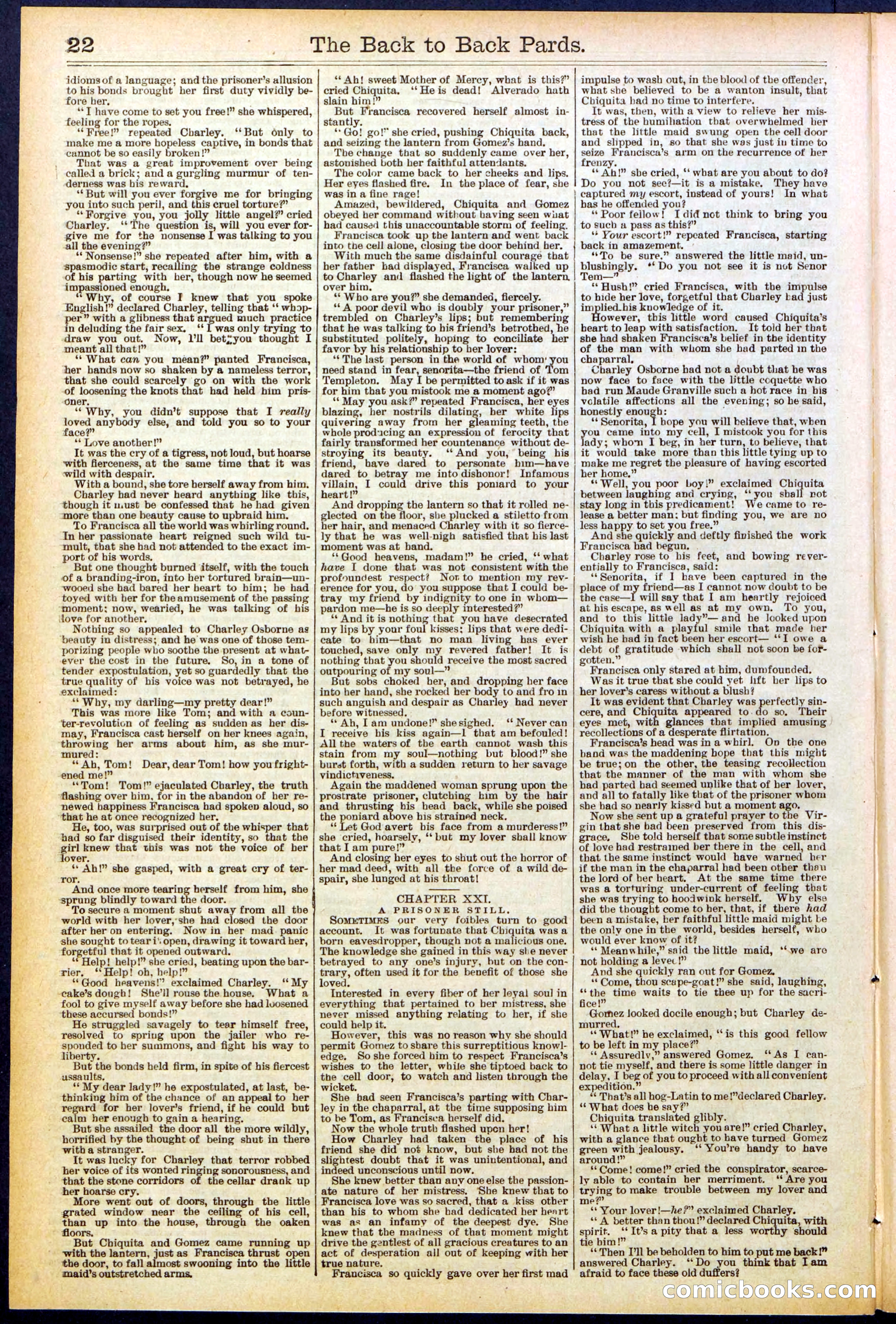 Beadle's New York Dime Library No. 544 — page 22 of 32