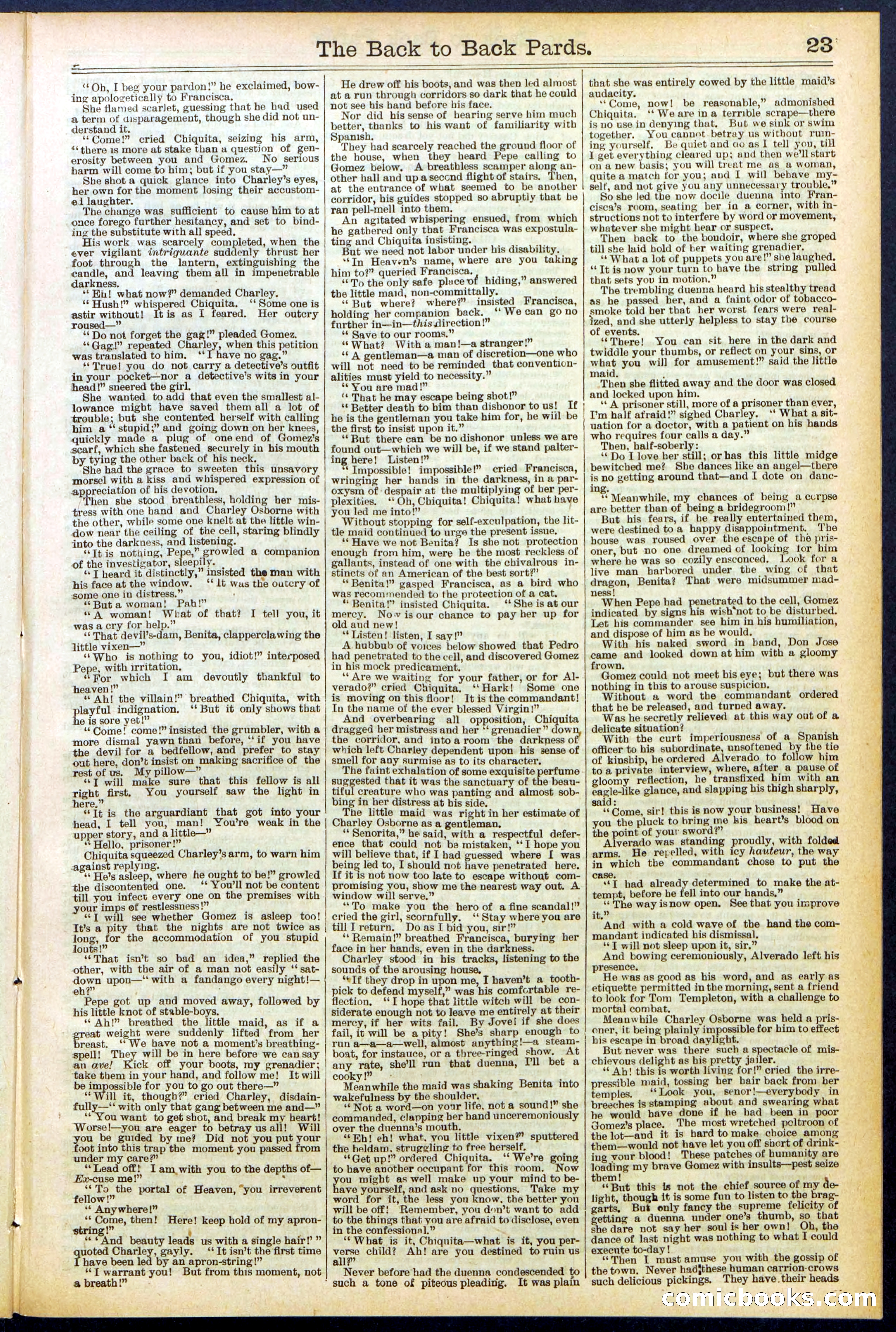 Beadle's New York Dime Library No. 544 — page 23 of 32