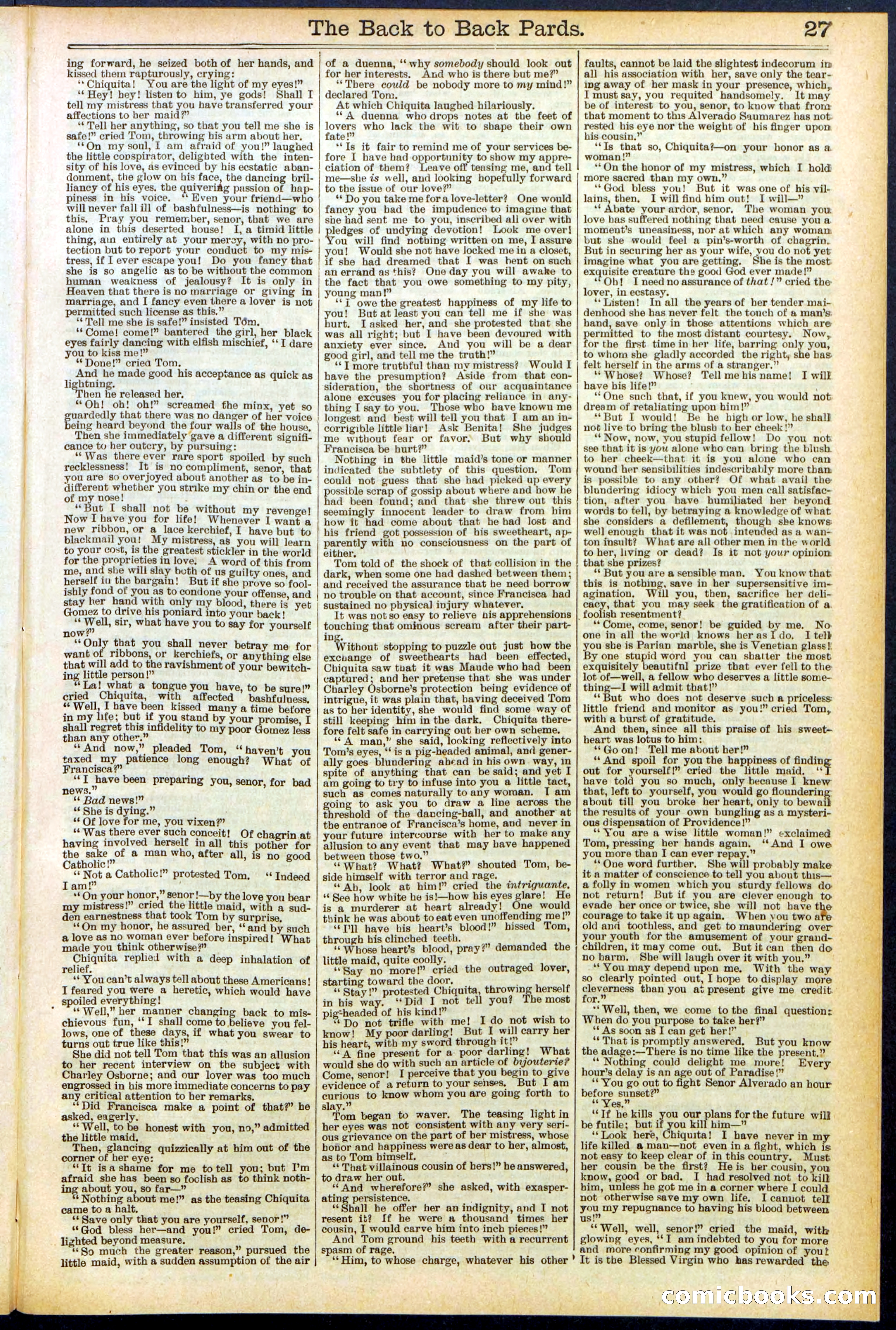 Beadle's New York Dime Library No. 544 — page 27 of 32