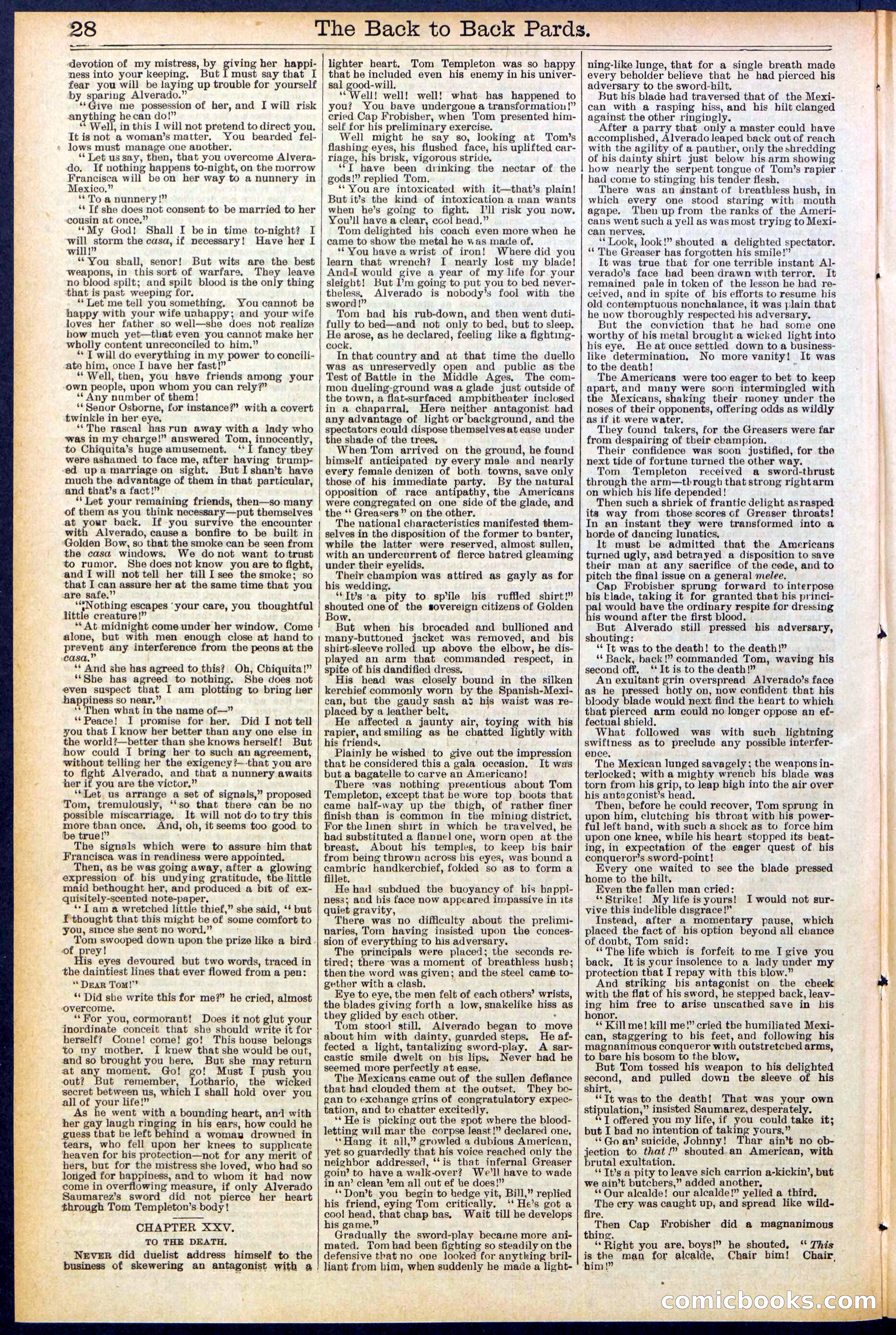 Beadle's New York Dime Library No. 544 — page 28 of 32