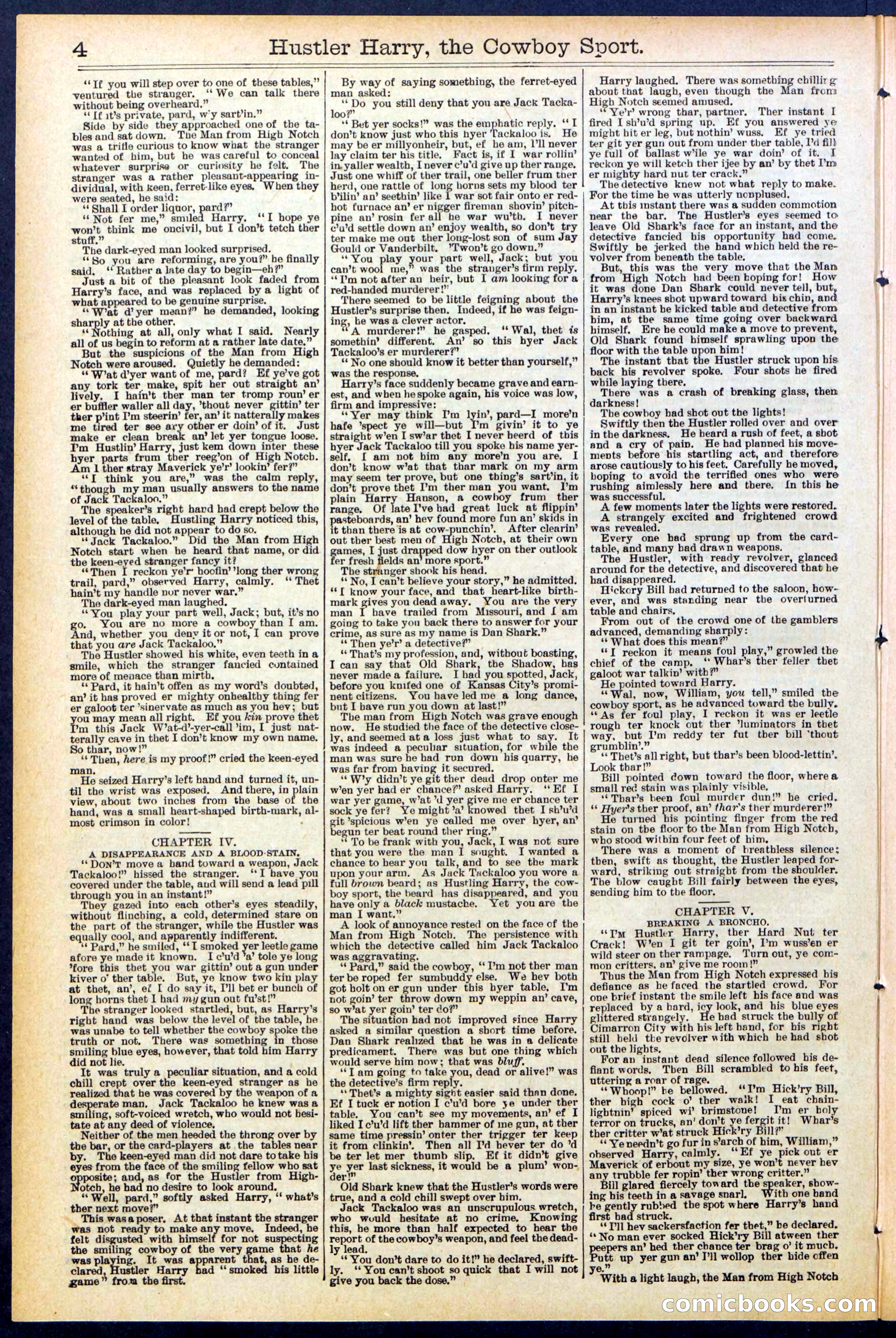 Beadle's New York Dime Library, No. 545 — page 4 of 32