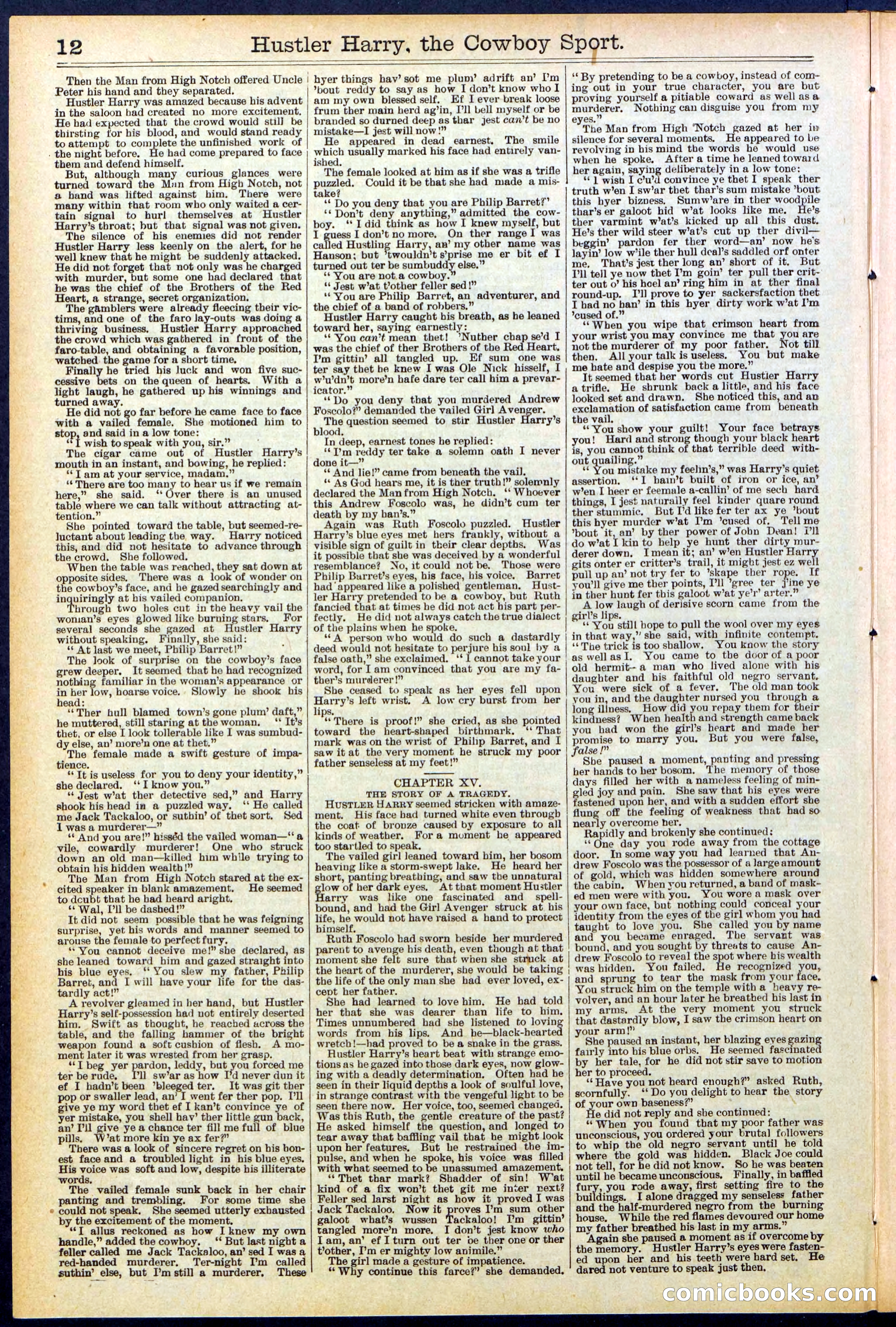 Beadle's New York Dime Library, No. 545 — page 12 of 32