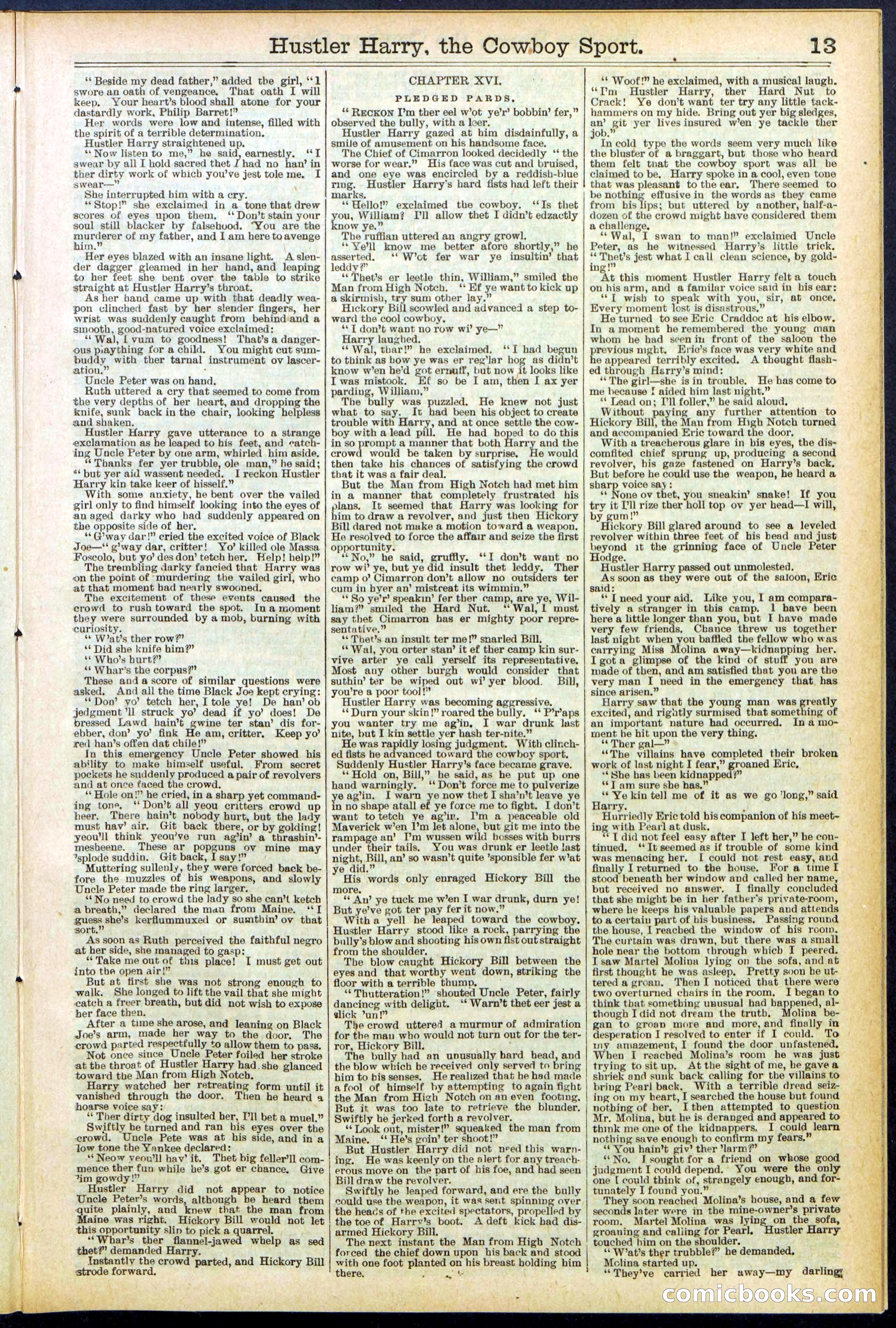 Beadle's New York Dime Library, No. 545 — page 13 of 32