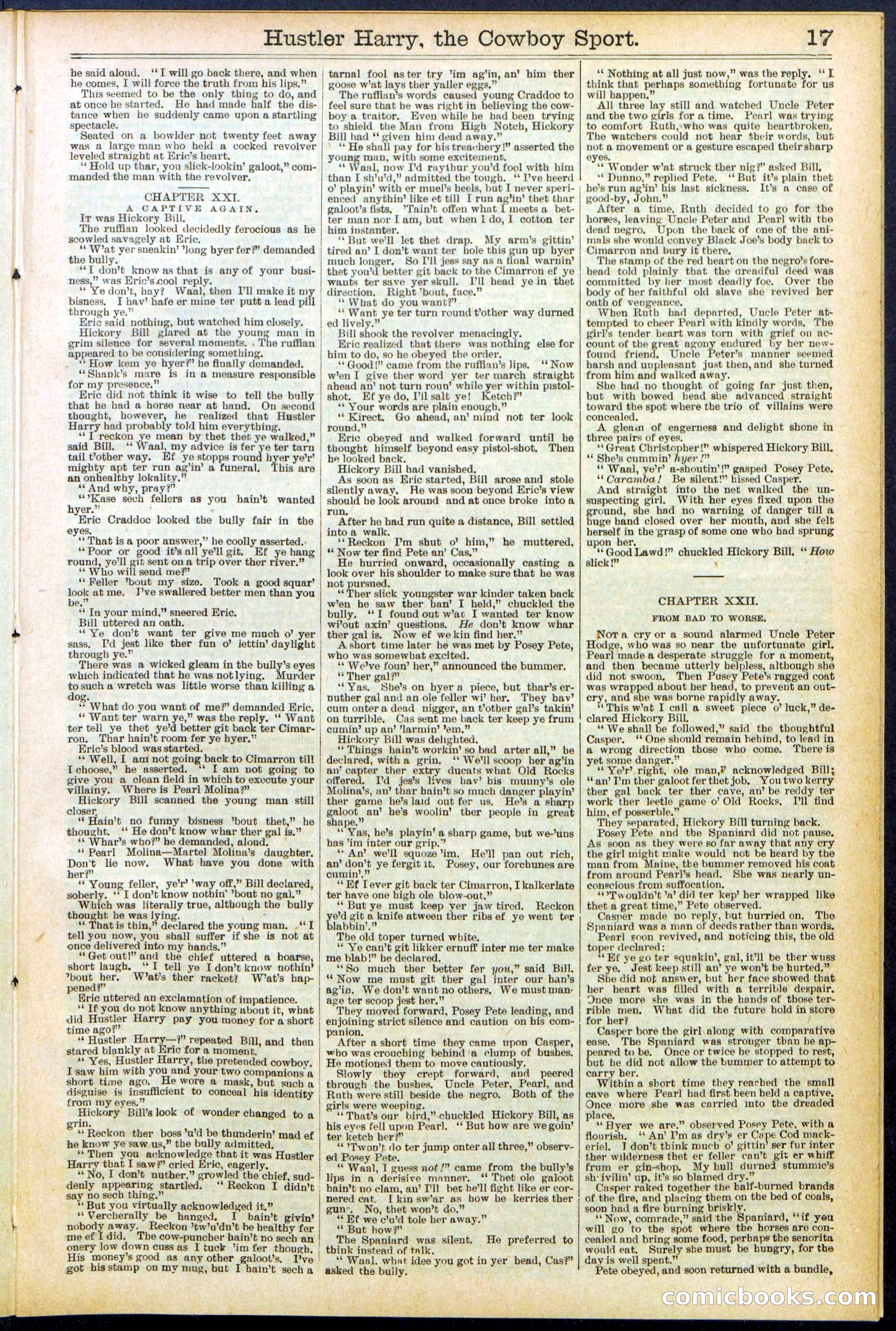 Beadle's New York Dime Library, No. 545 — page 17 of 32