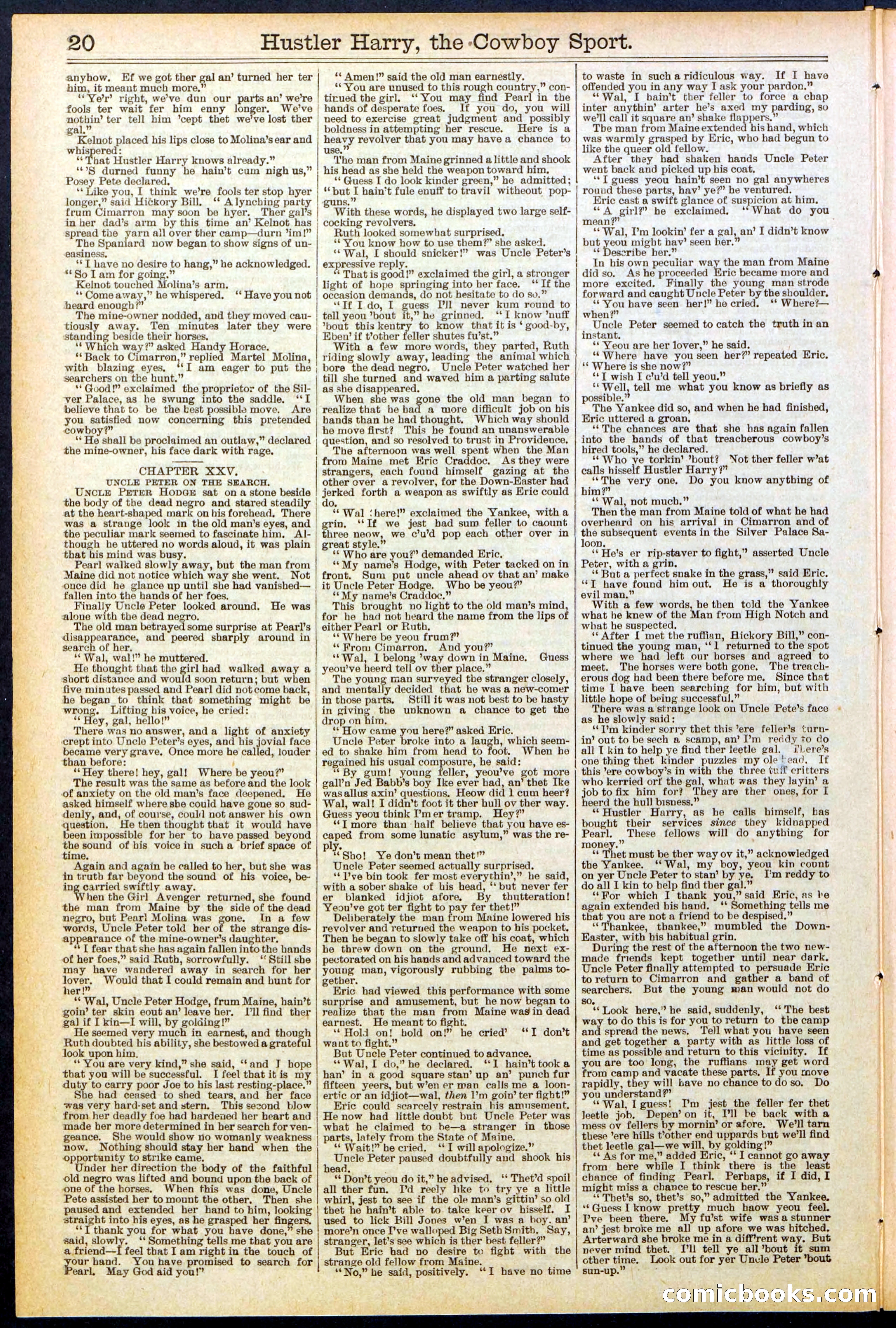 Beadle's New York Dime Library, No. 545 — page 20 of 32