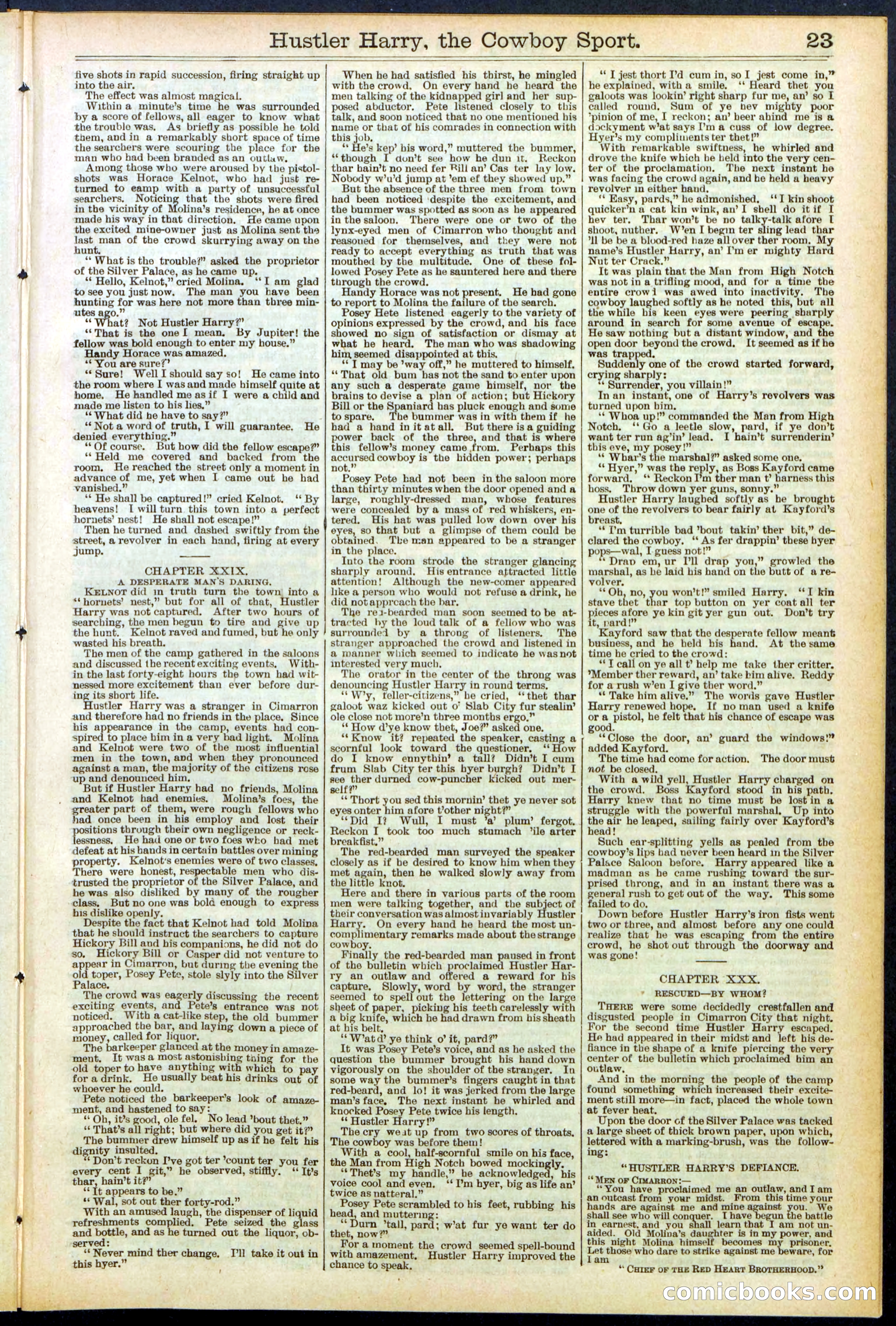 Beadle's New York Dime Library, No. 545 — page 23 of 32