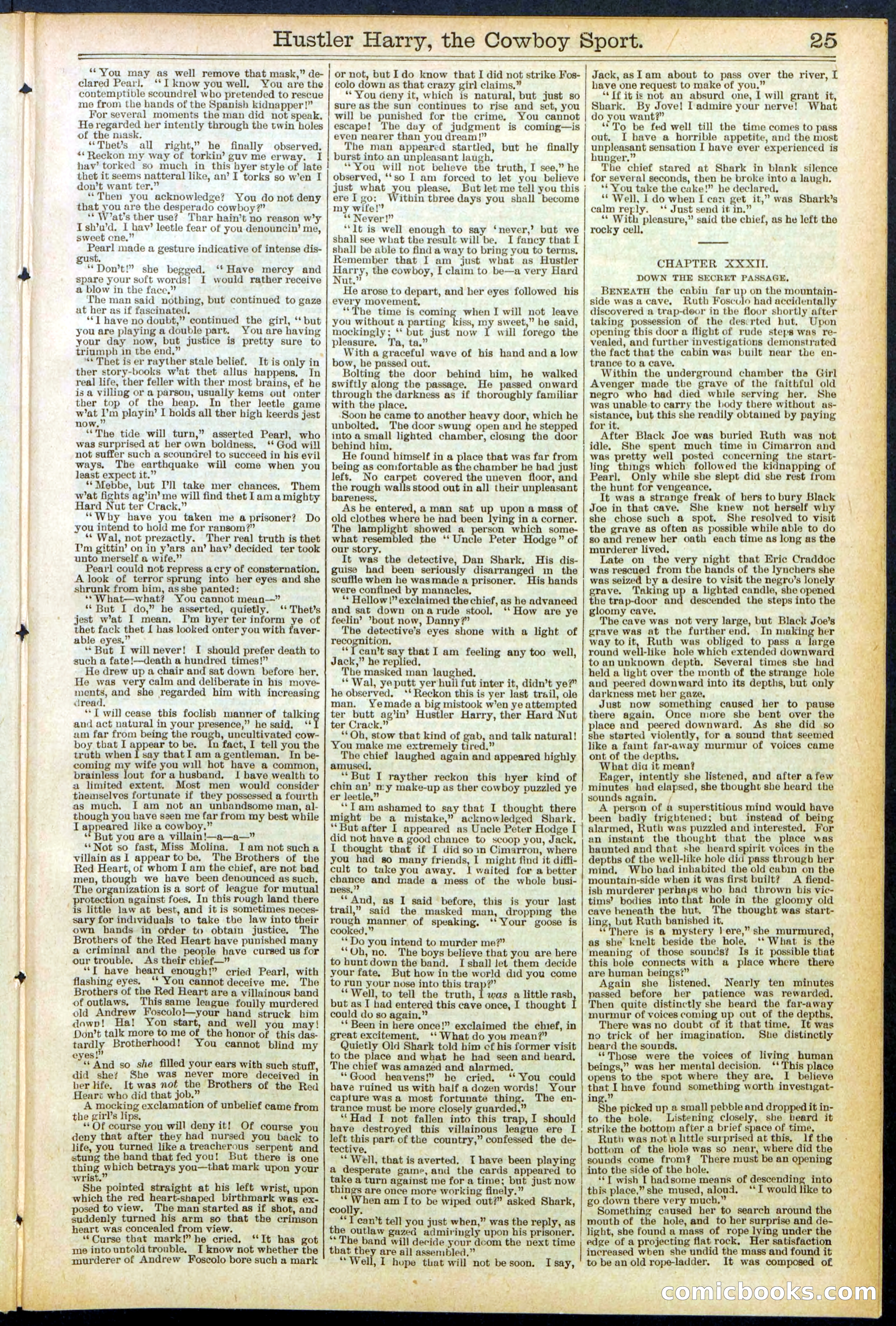Beadle's New York Dime Library, No. 545 — page 25 of 32