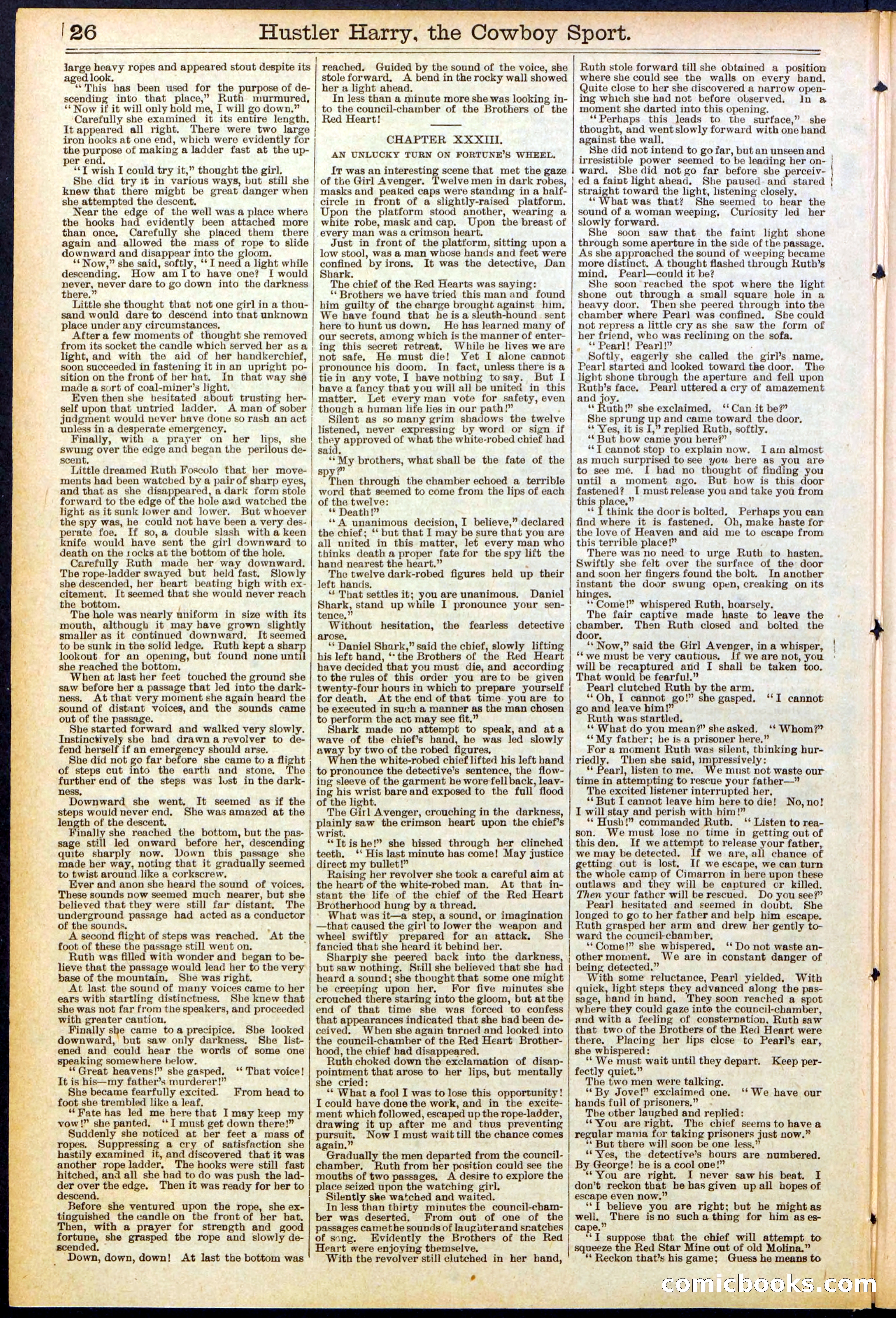Beadle's New York Dime Library, No. 545 — page 26 of 32