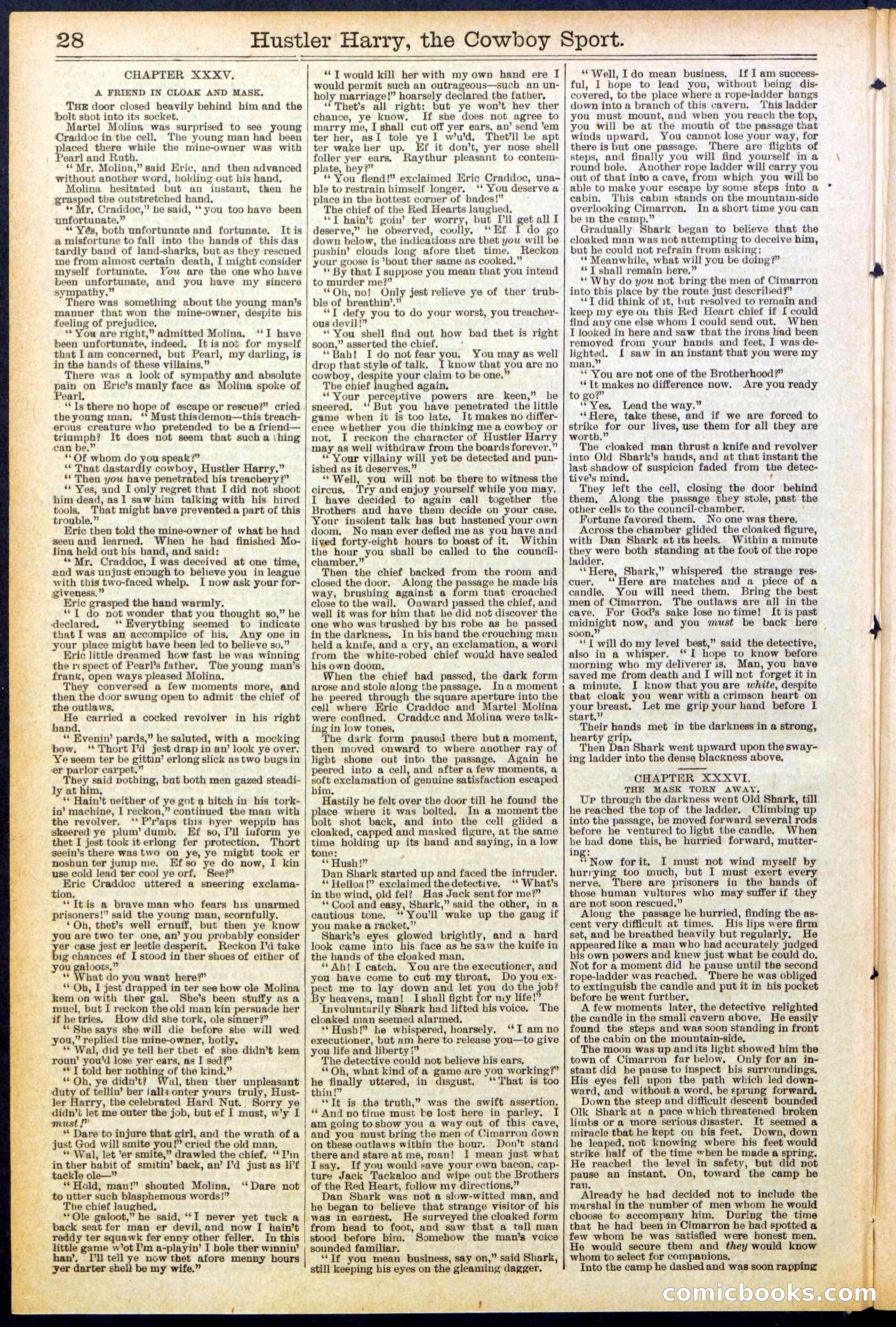 Beadle's New York Dime Library, No. 545 — page 28 of 32