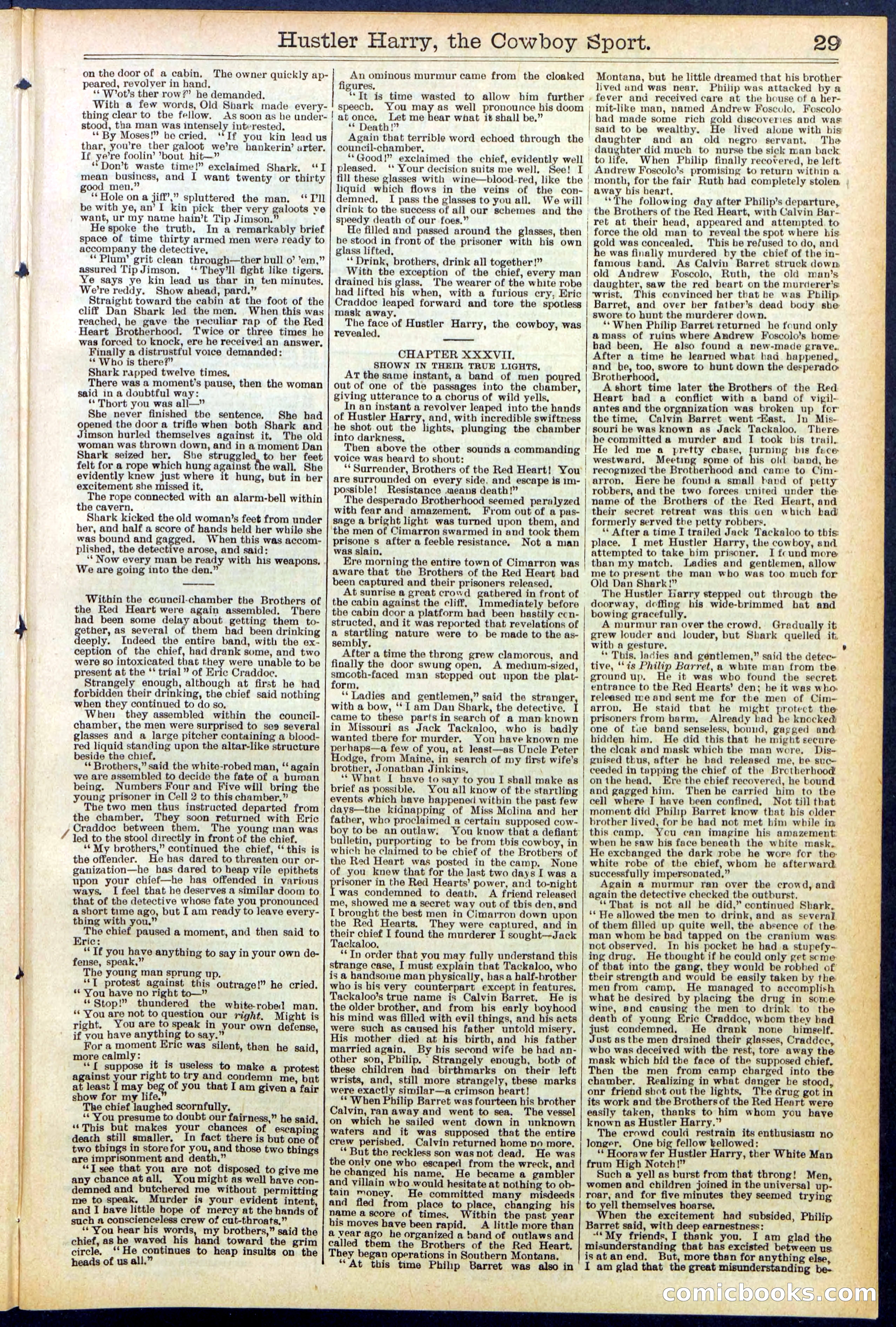 Beadle's New York Dime Library, No. 545 — page 29 of 32