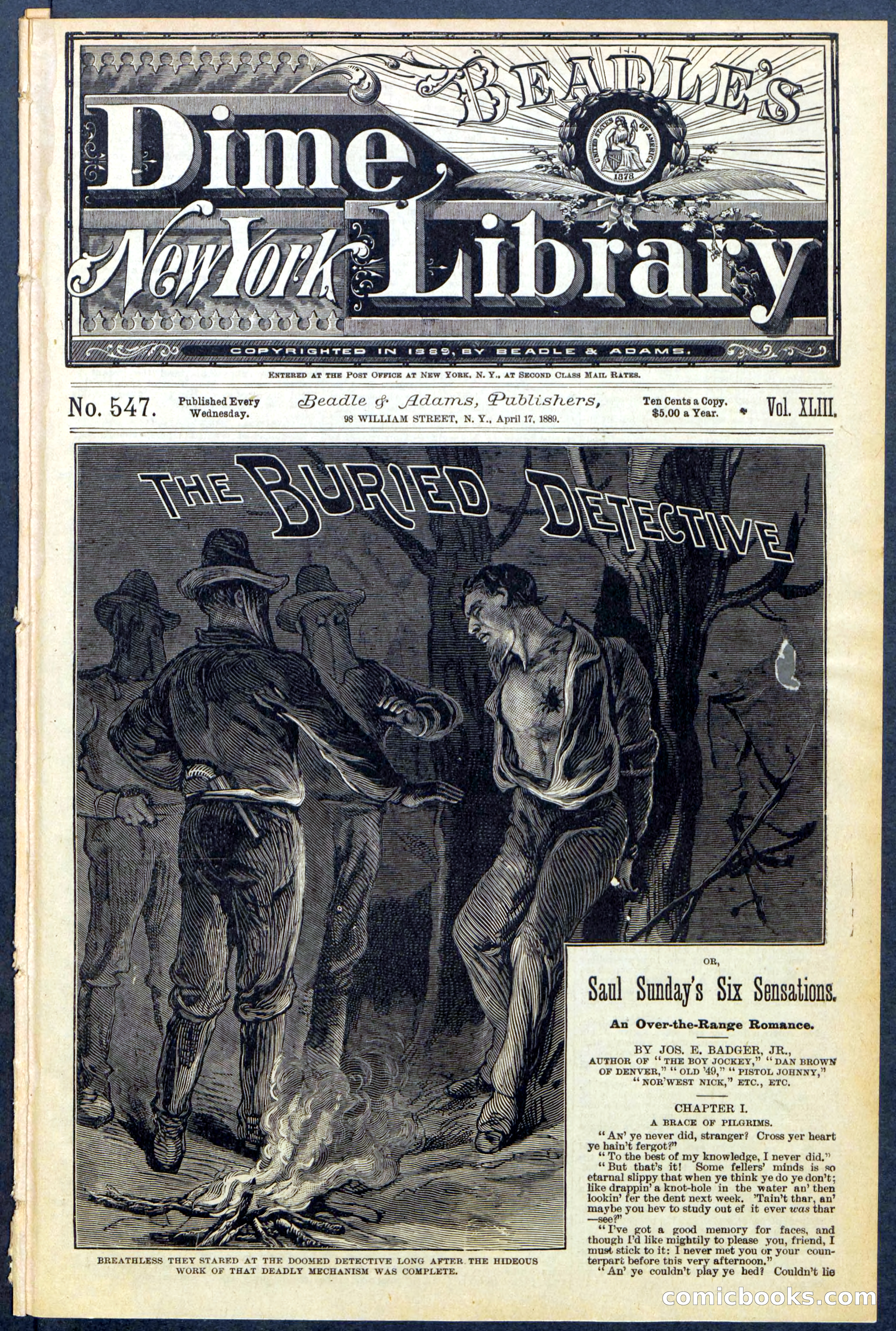 Beadle's New York Dime Library, No. 547 — page 1 of 32