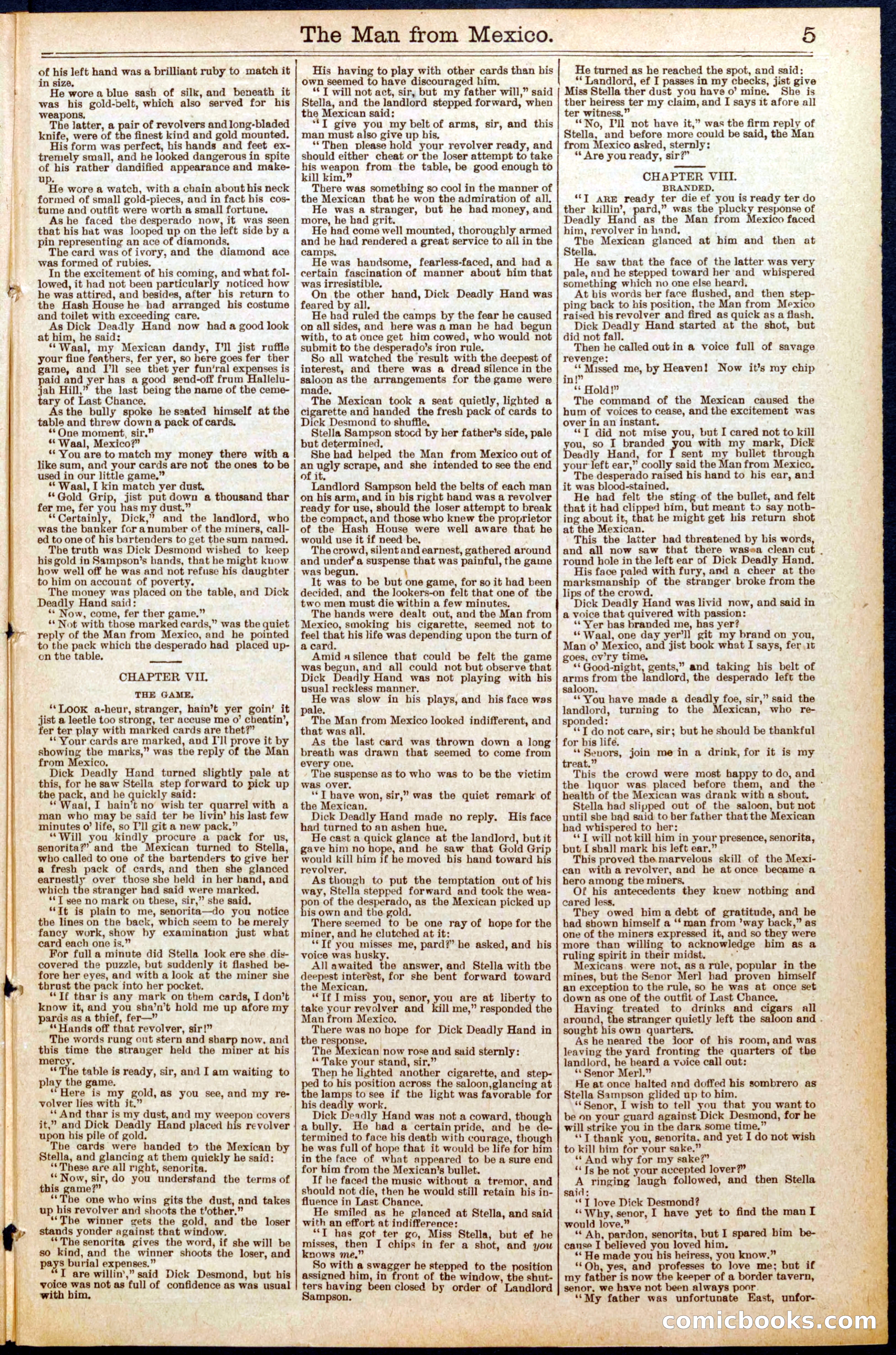 Beadle's New York Dime Library No. 560 — page 5 of 32