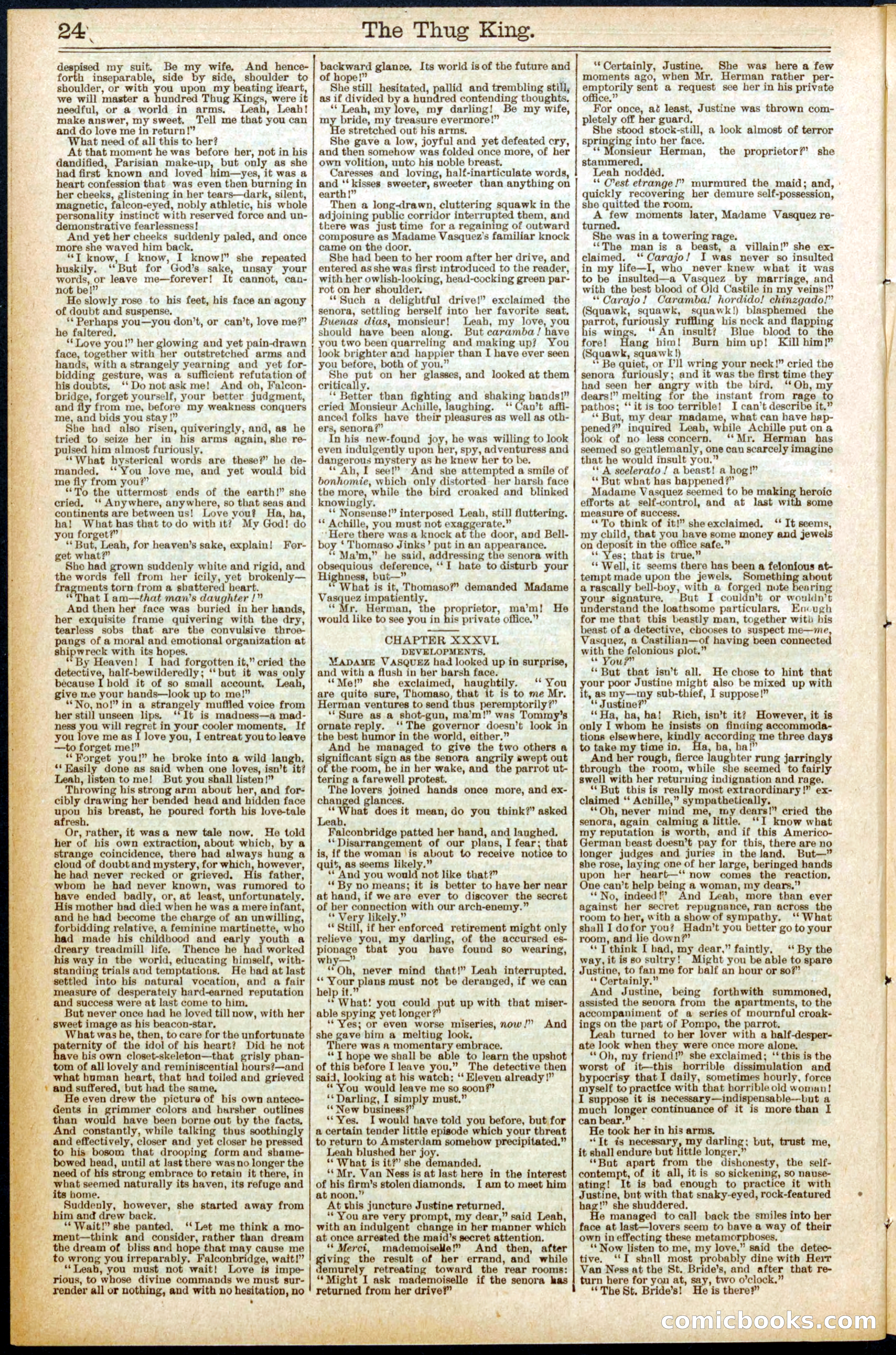 Beadle's Dime Library No. 561 — page 24 of 32