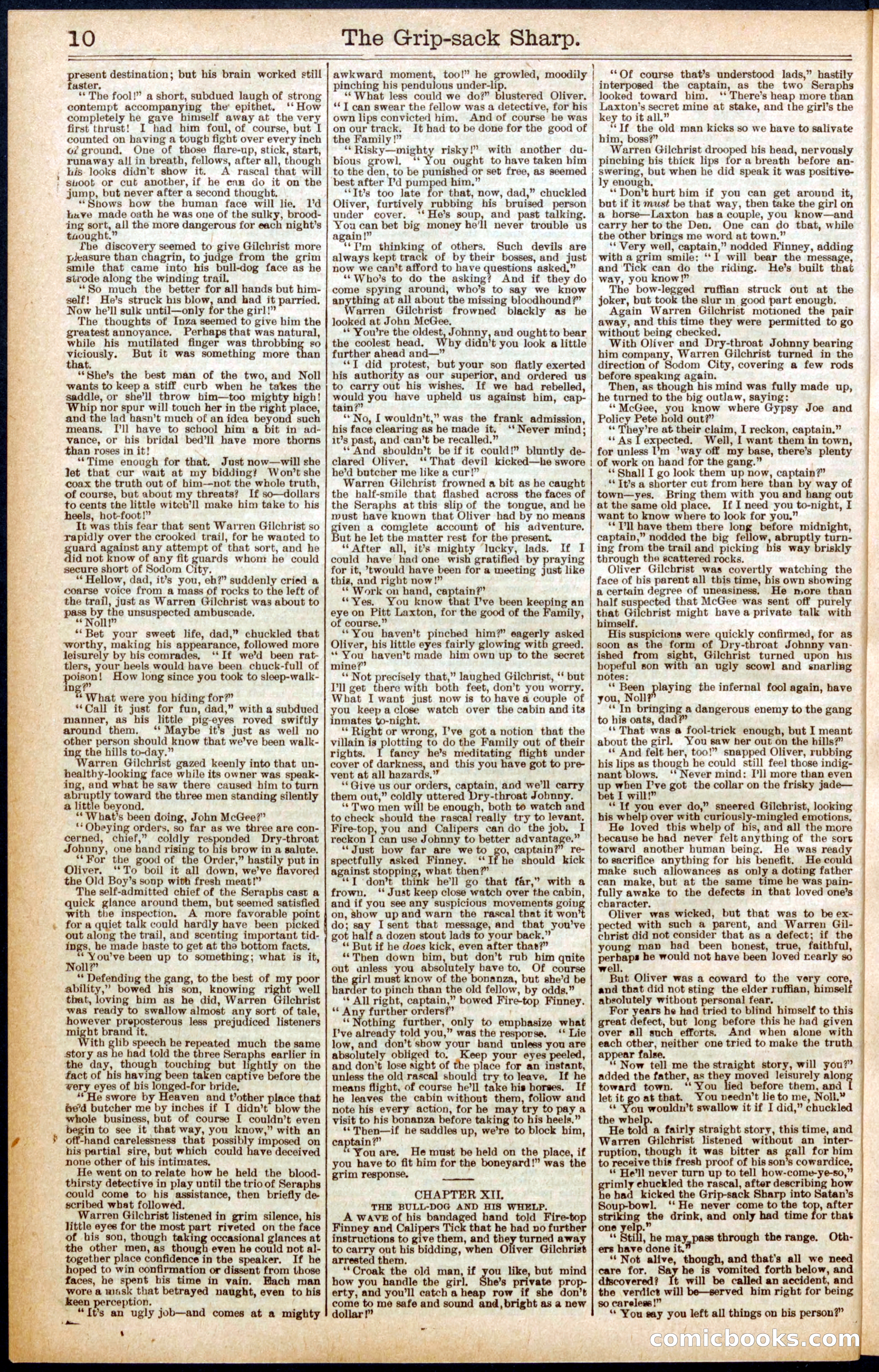 Beadle's Dime Library No. 564 — page 10 of 32