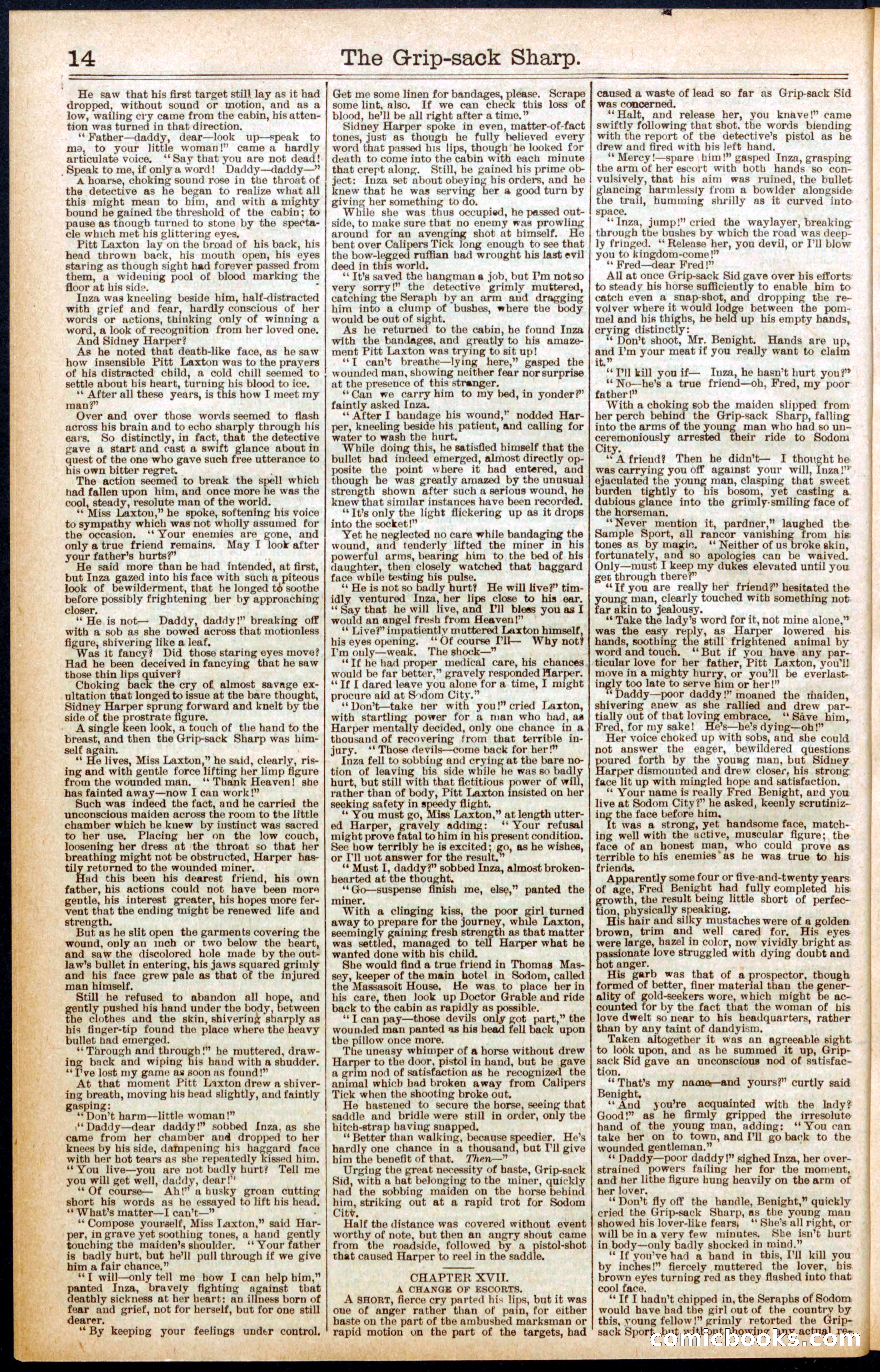Beadle's Dime Library No. 564 — page 14 of 32
