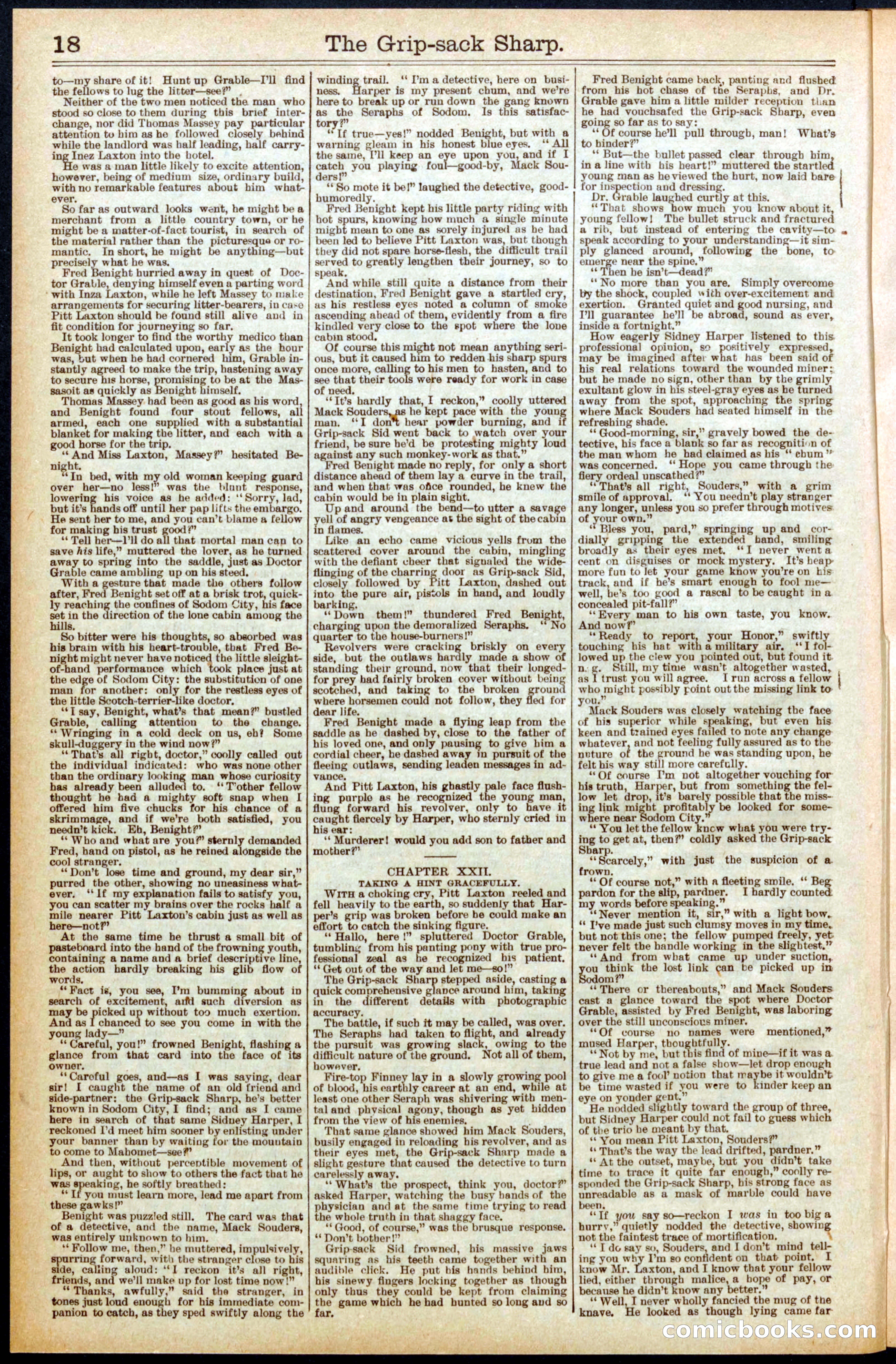 Beadle's Dime Library No. 564 — page 18 of 32