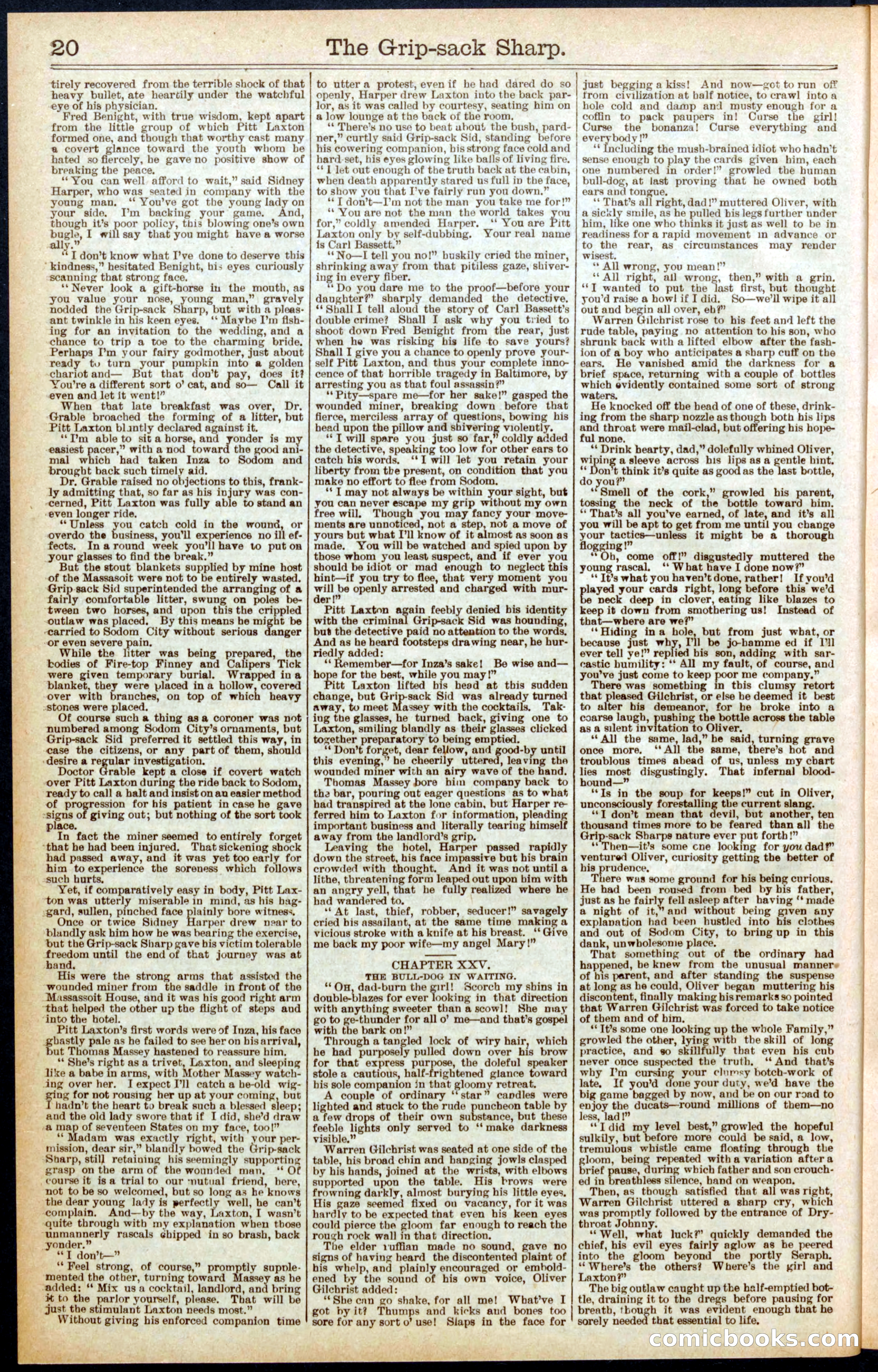 Beadle's Dime Library No. 564 — page 20 of 32