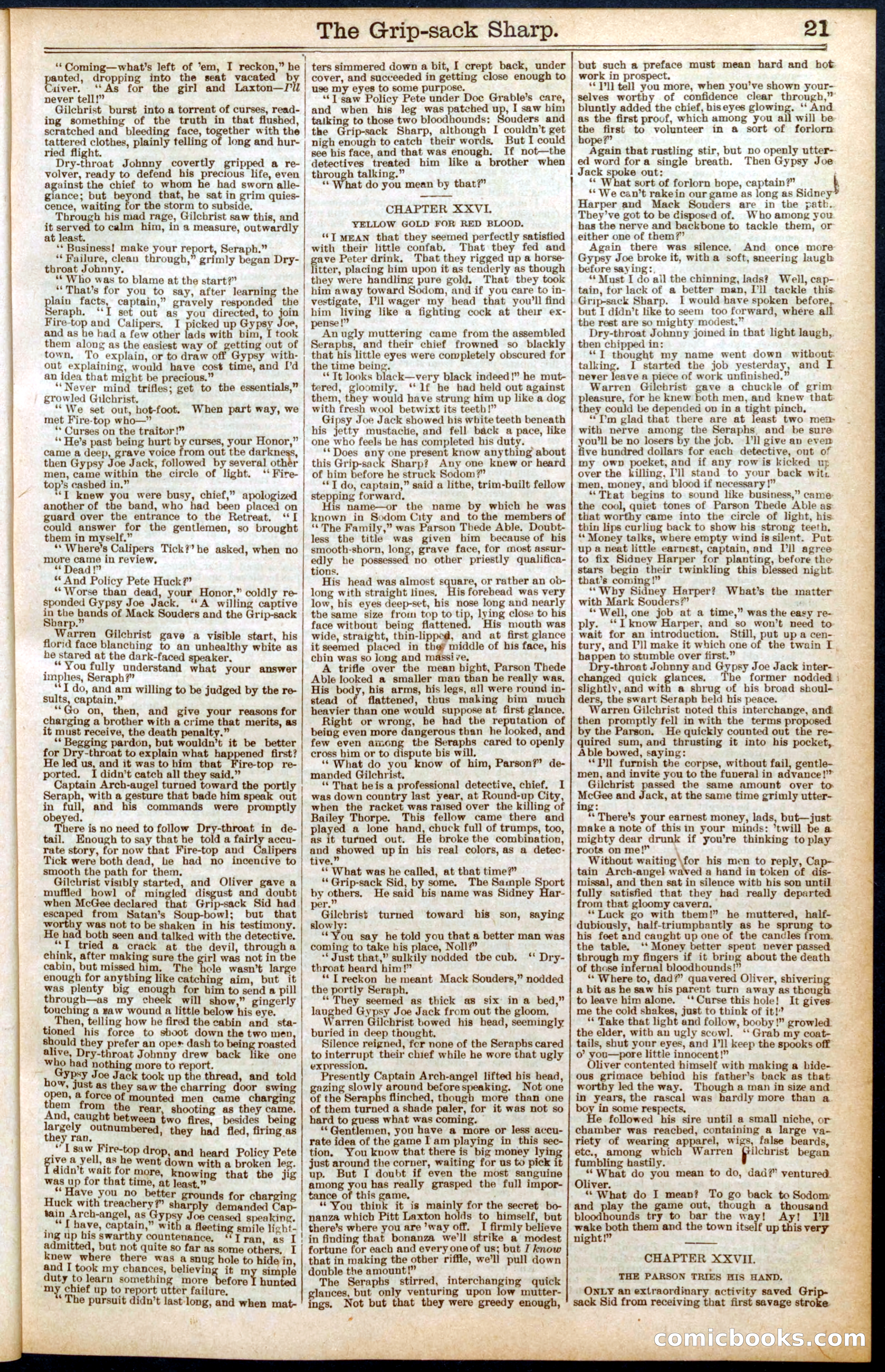 Beadle's Dime Library No. 564 — page 21 of 32