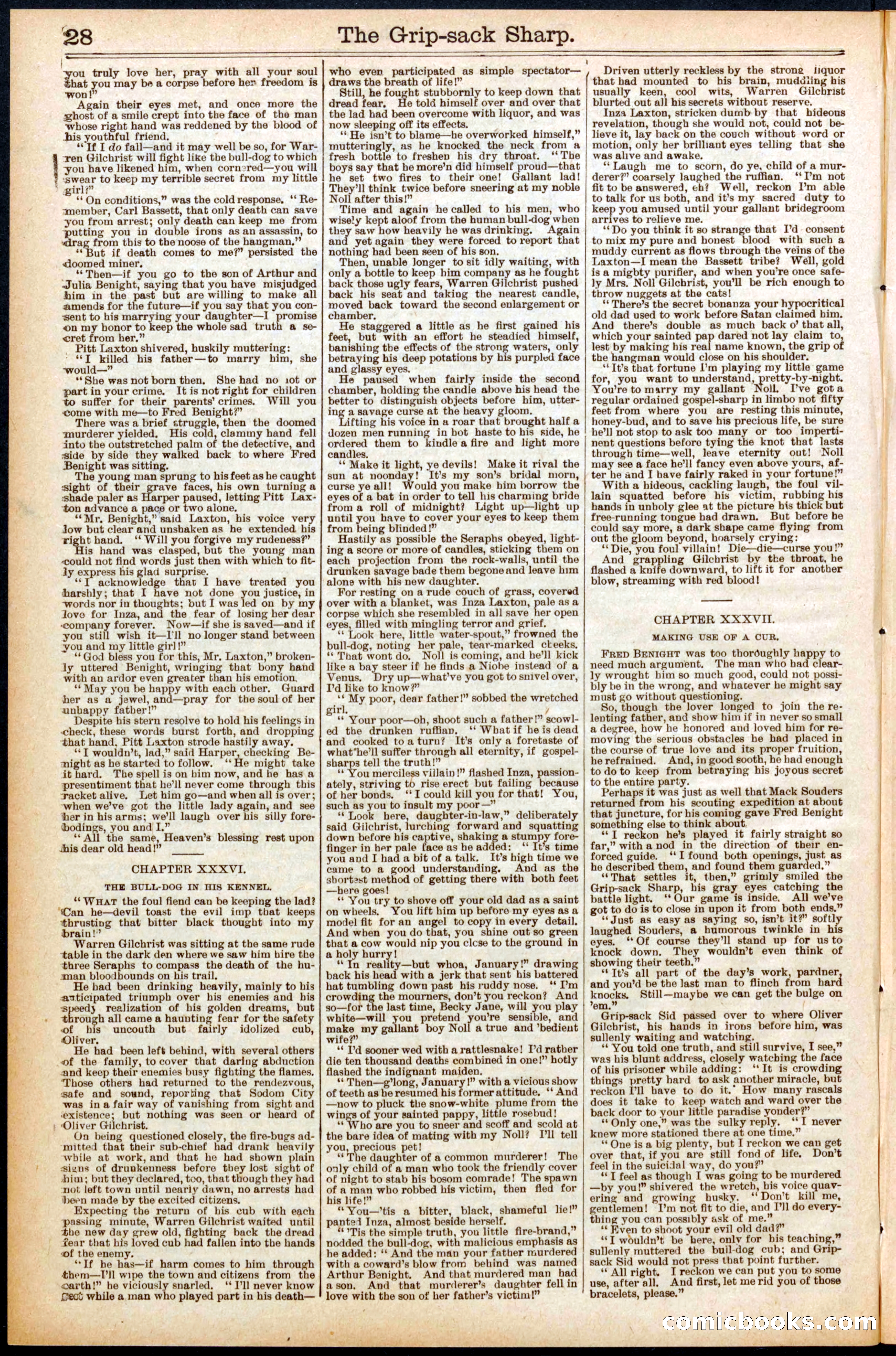 Beadle's Dime Library No. 564 — page 28 of 32