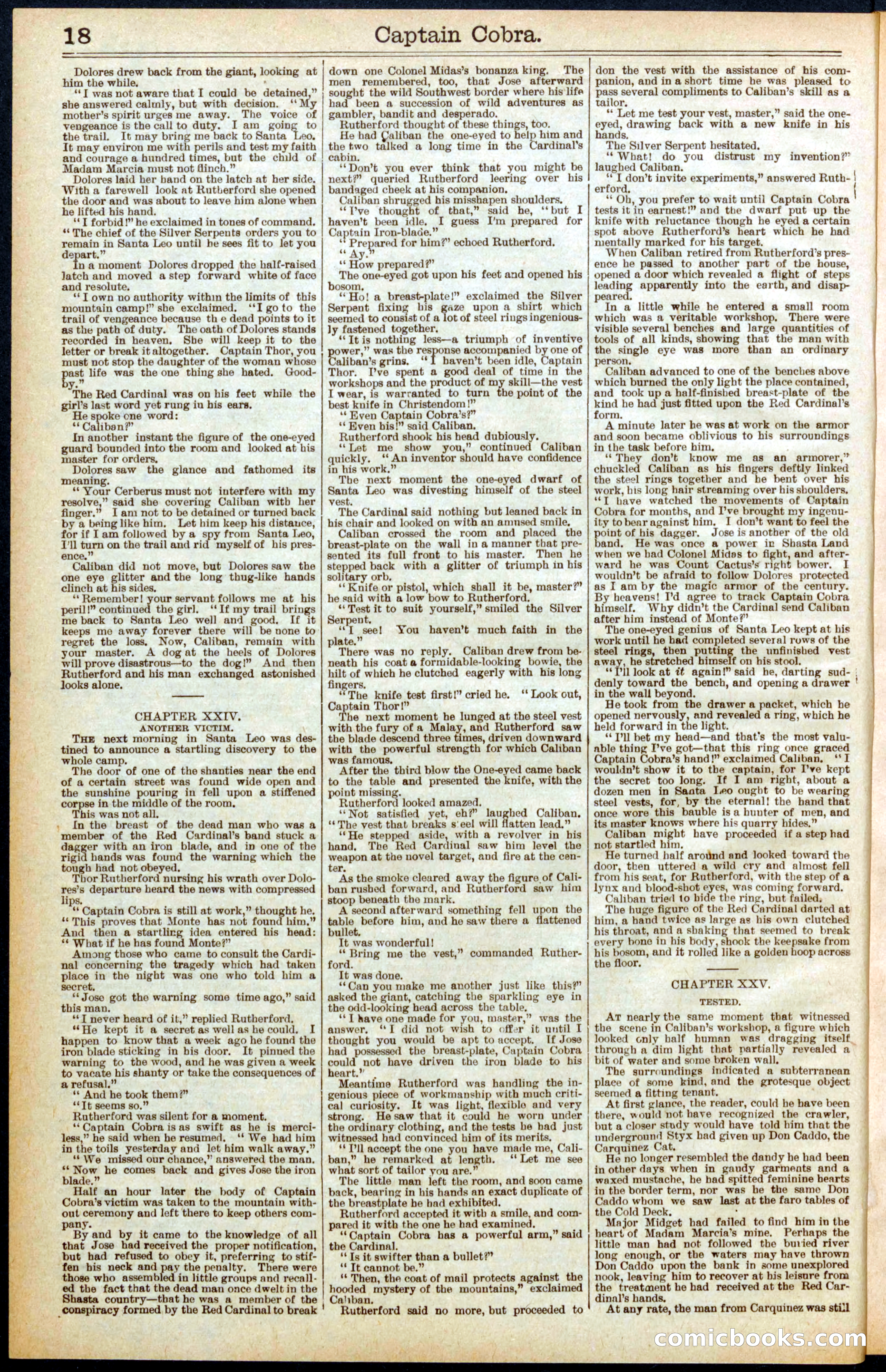 Beadle's Dime Library No. 569 — page 18 of 32