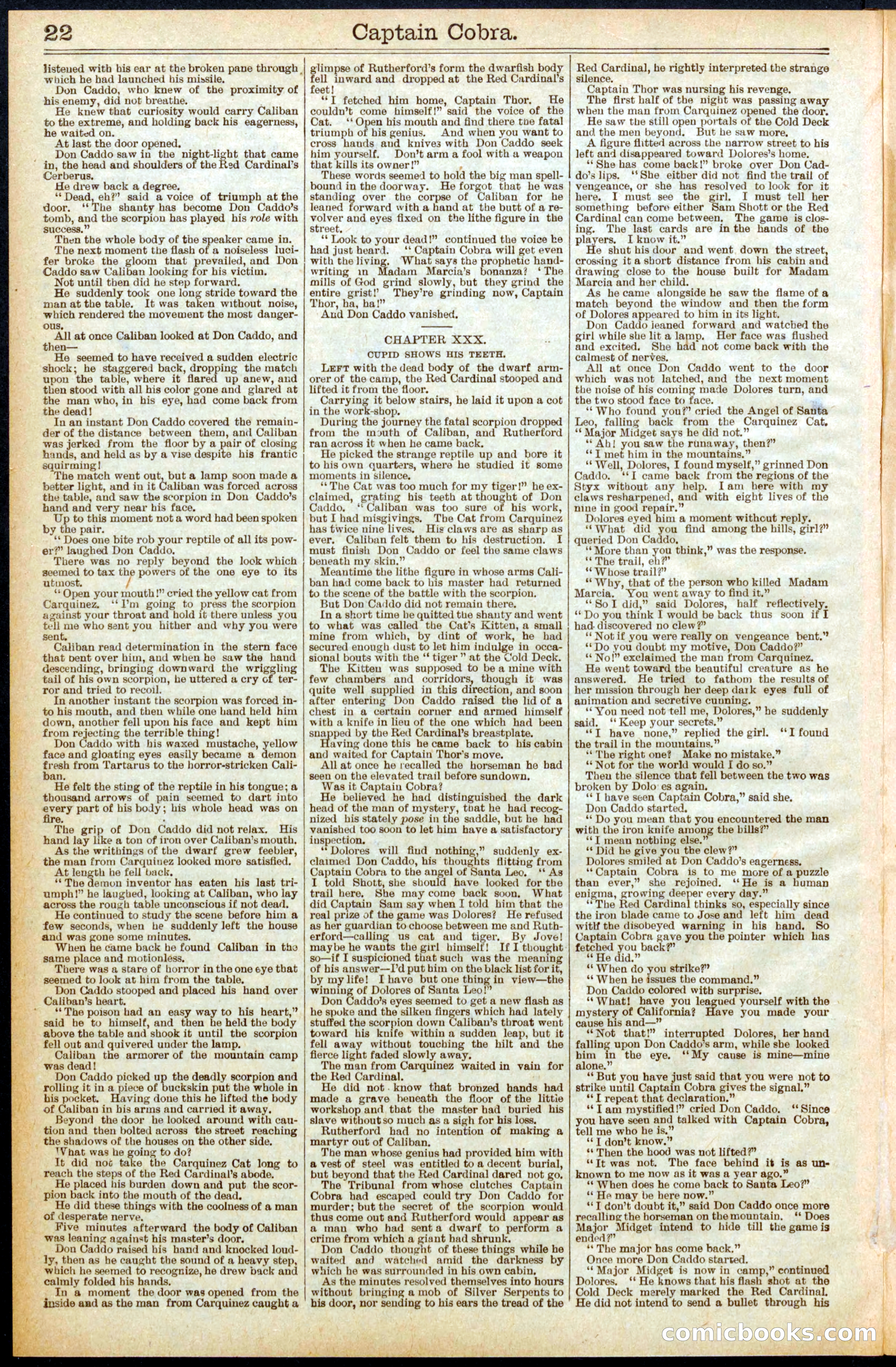 Beadle's Dime Library No. 569 — page 22 of 32