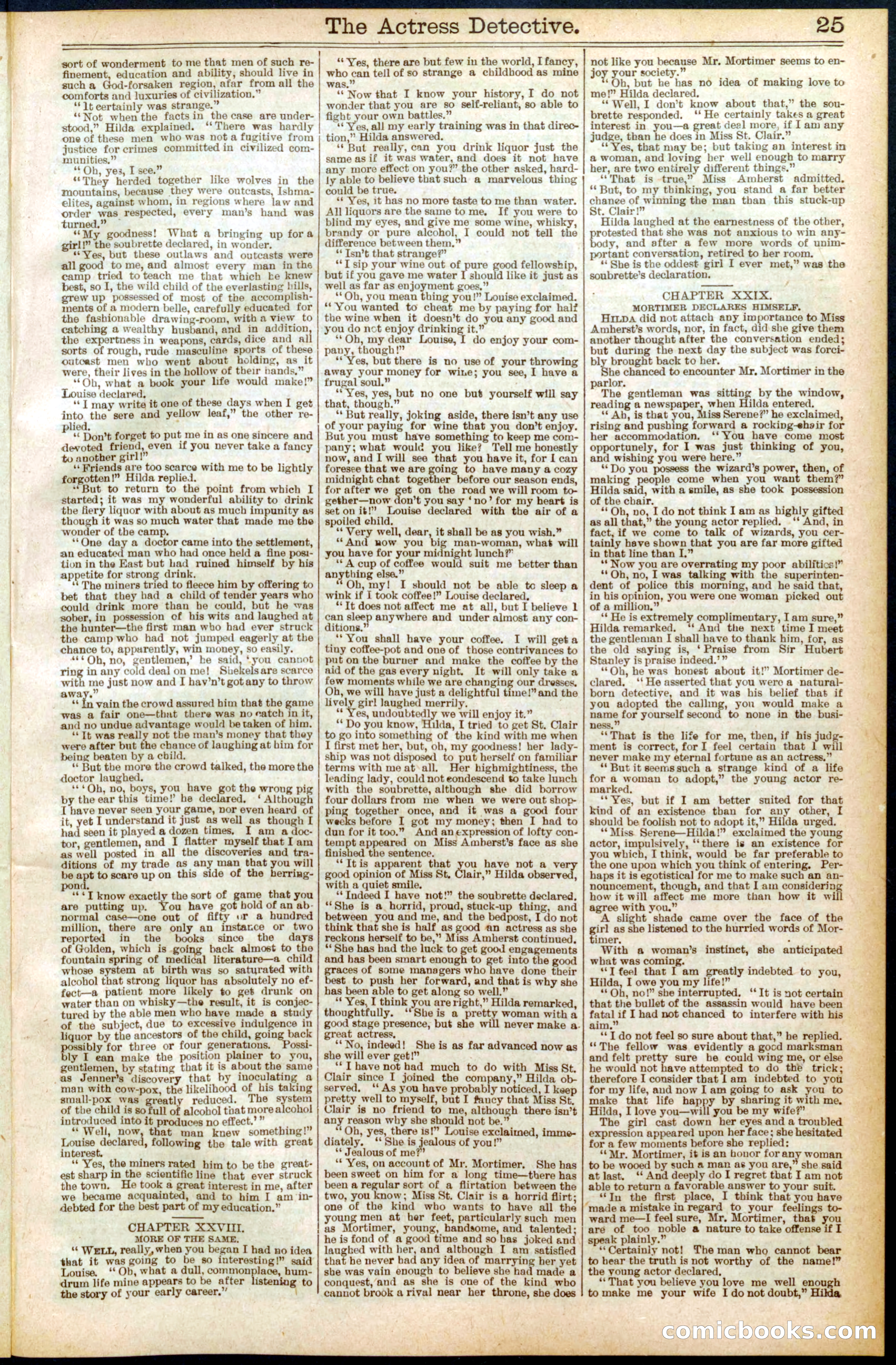 Beadle's Dime Library No. 570 — page 25 of 32