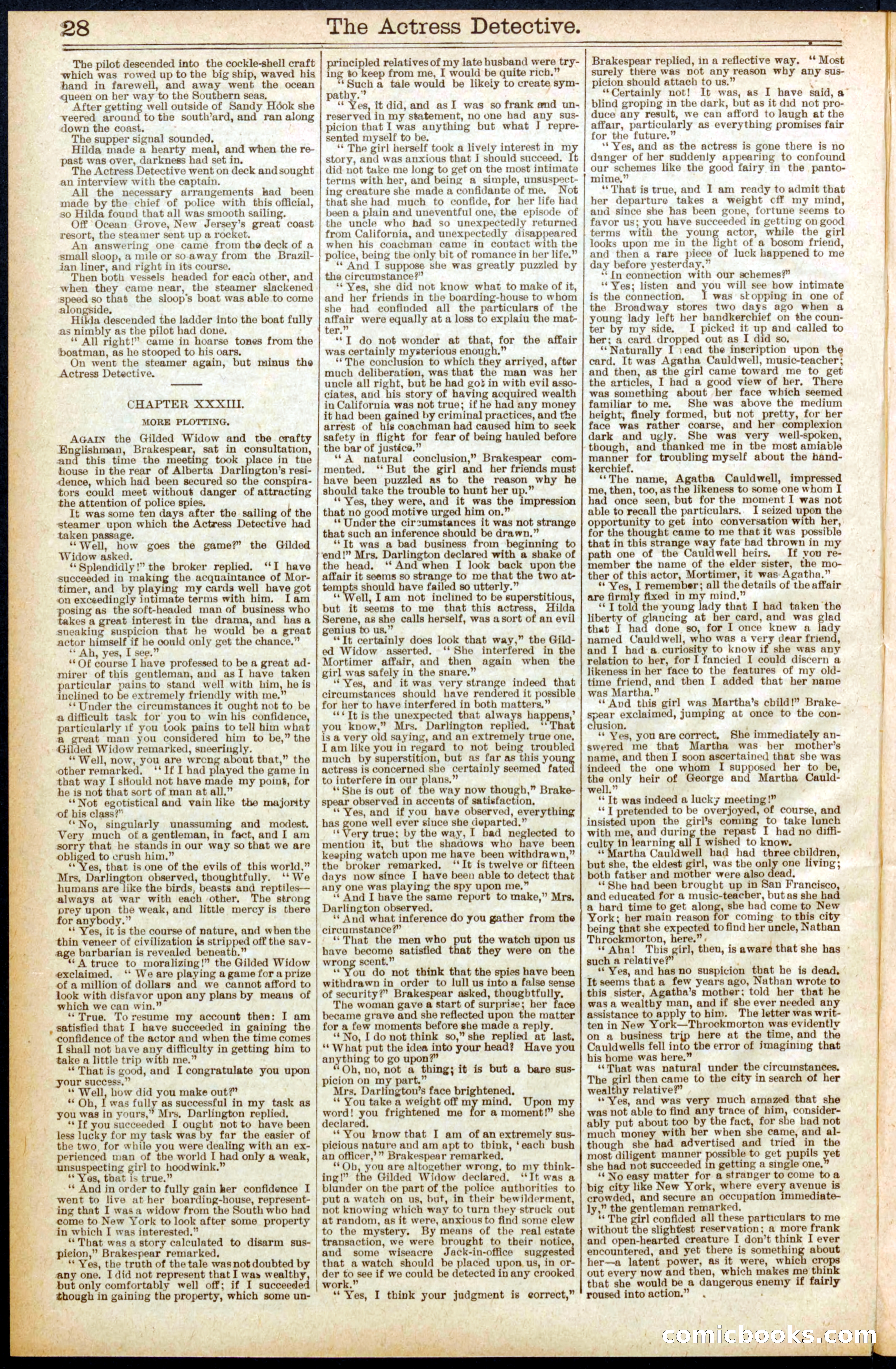 Beadle's Dime Library No. 570 — page 28 of 32