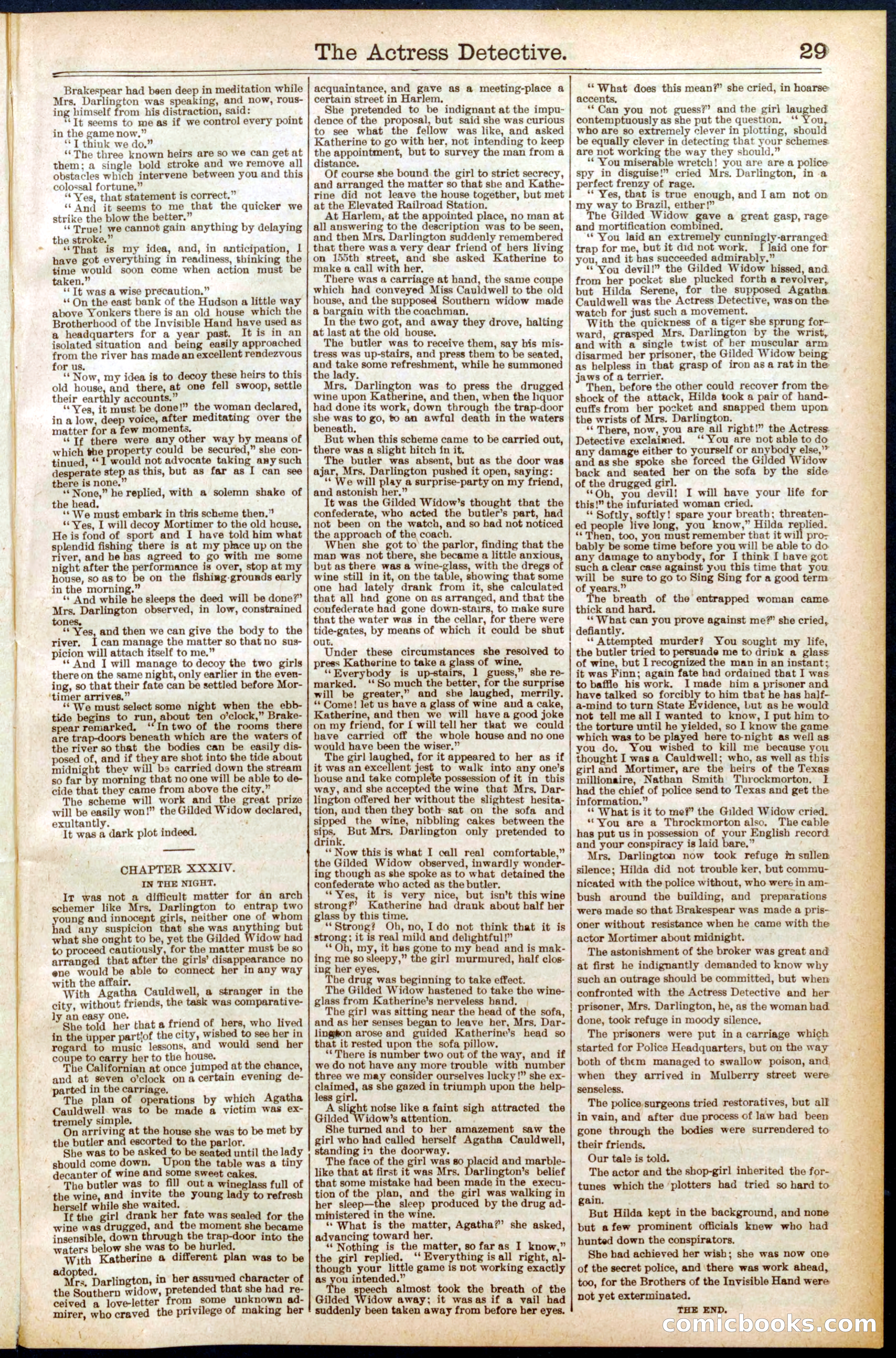 Beadle's Dime Library No. 570 — page 29 of 32