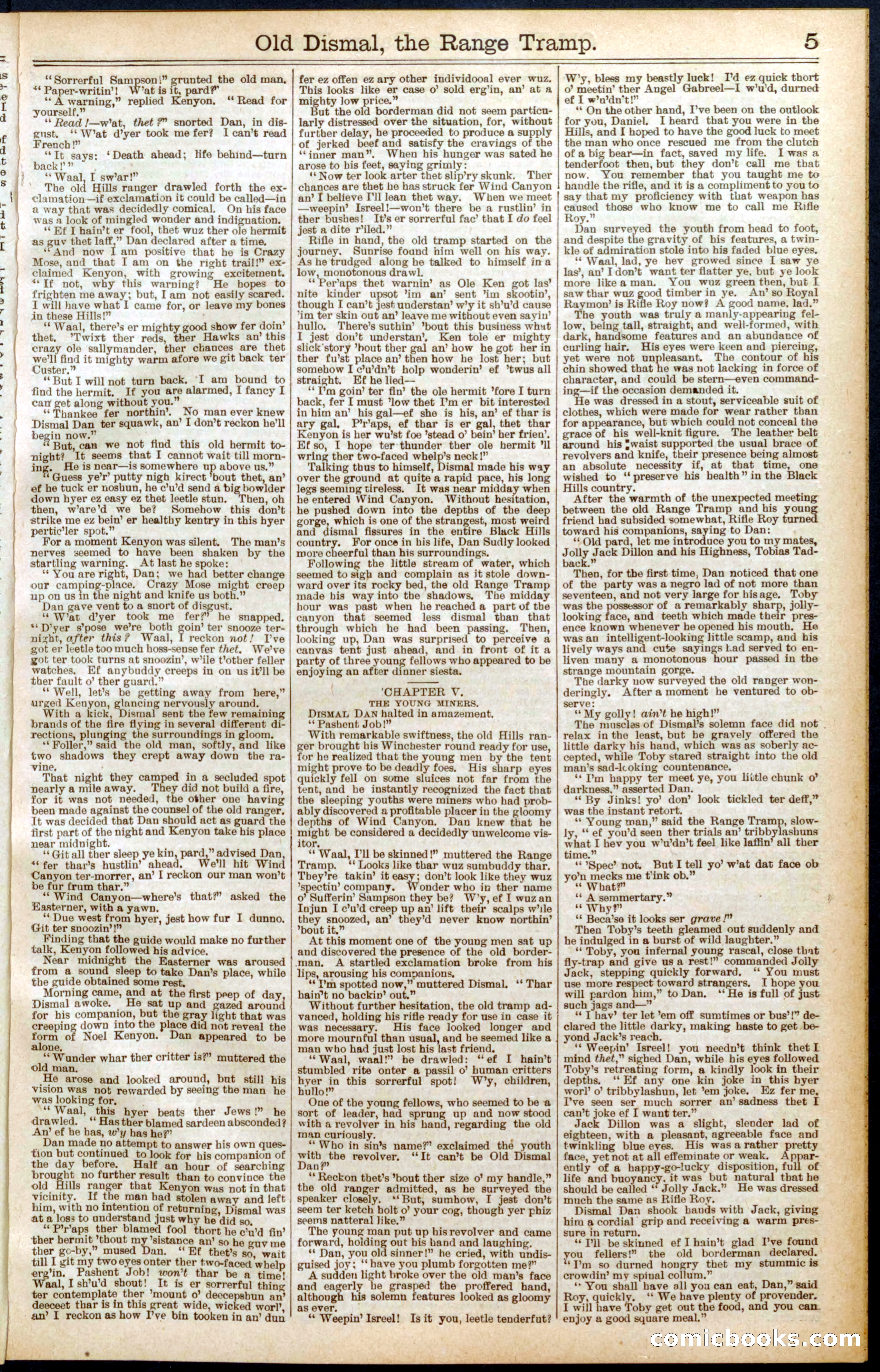 Beadle's New York Dime Library, No. 571 — page 5 of 32