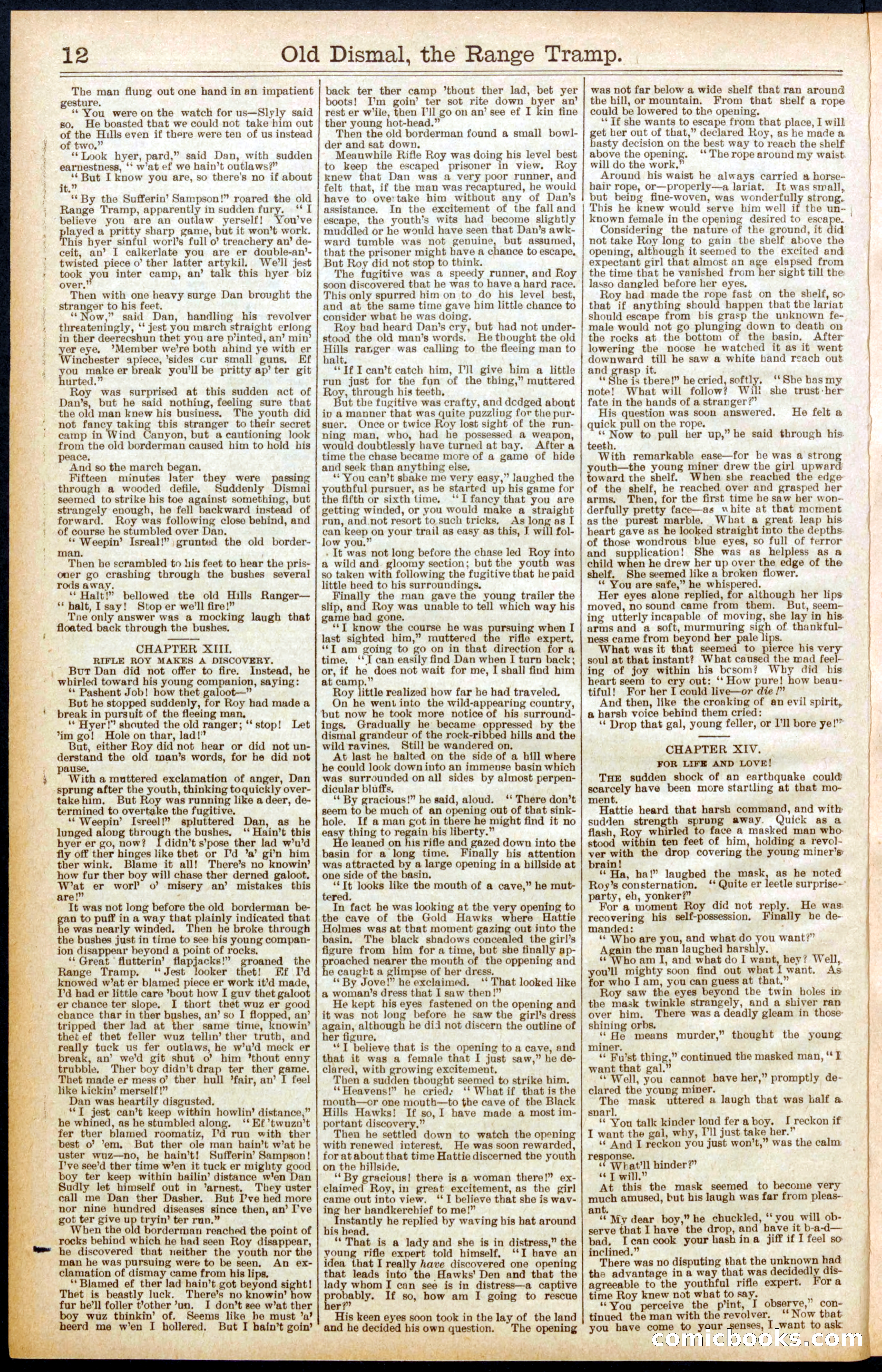 Beadle's New York Dime Library, No. 571 — page 12 of 32