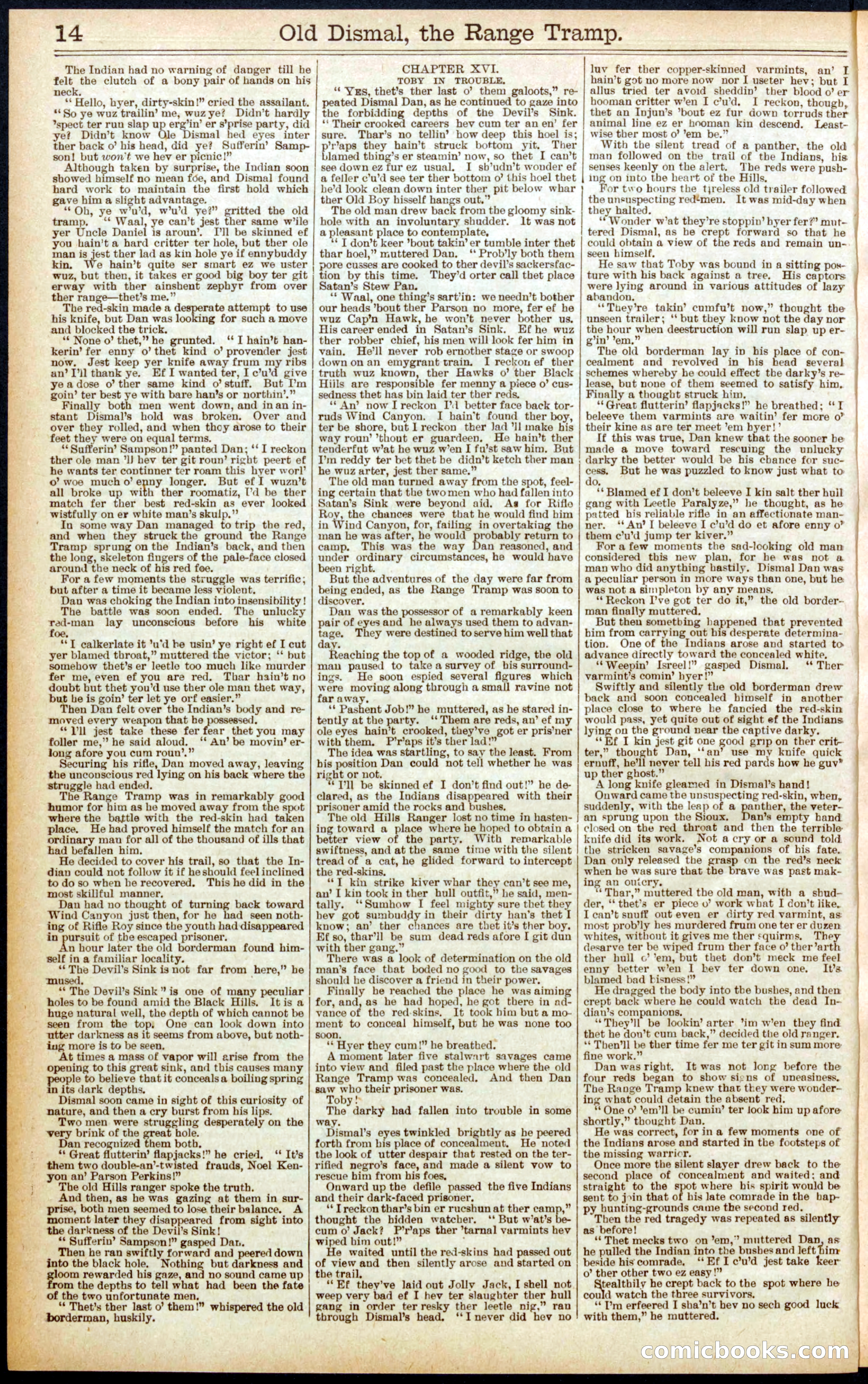Beadle's New York Dime Library, No. 571 — page 14 of 32