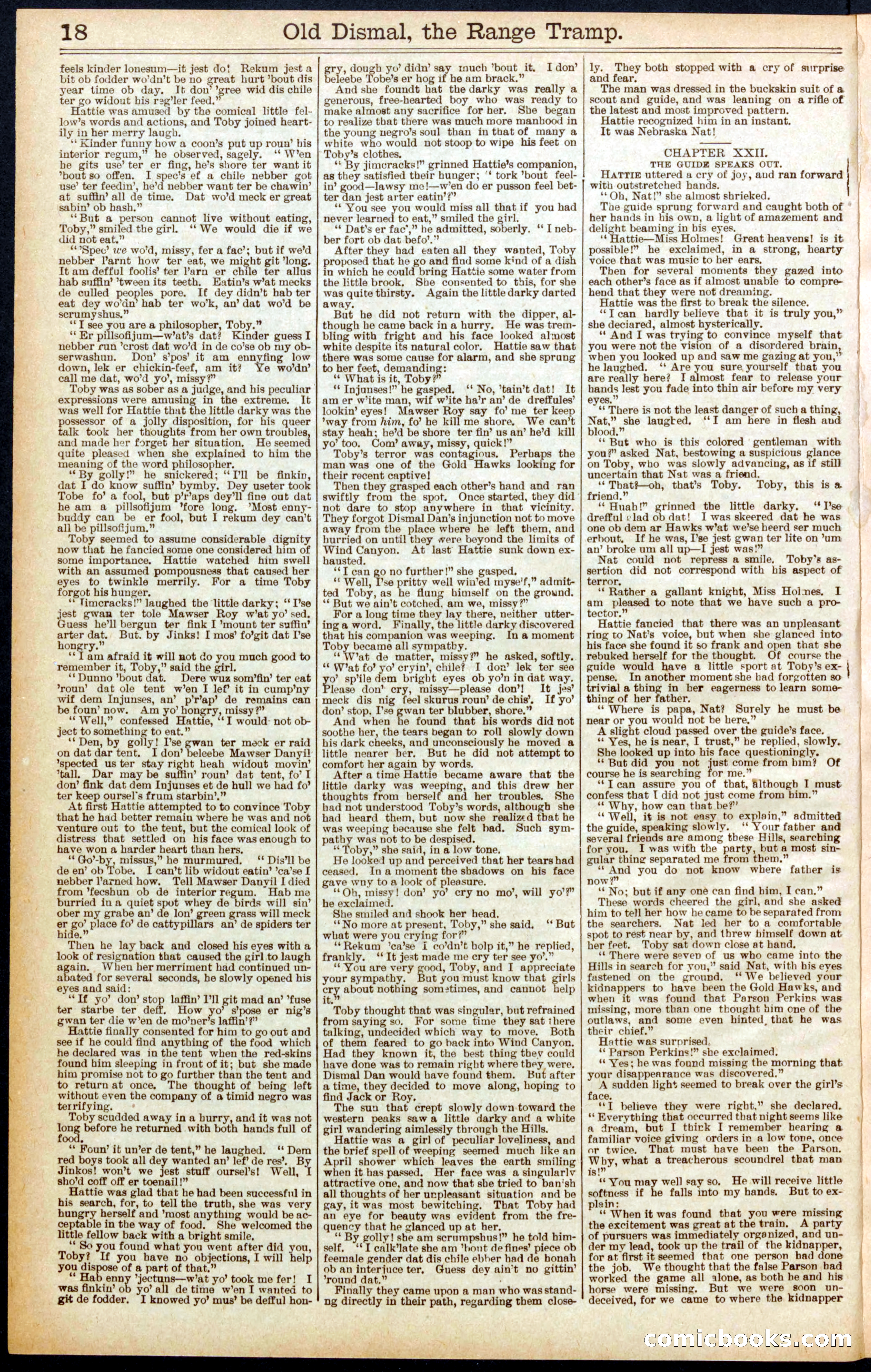 Beadle's New York Dime Library, No. 571 — page 18 of 32