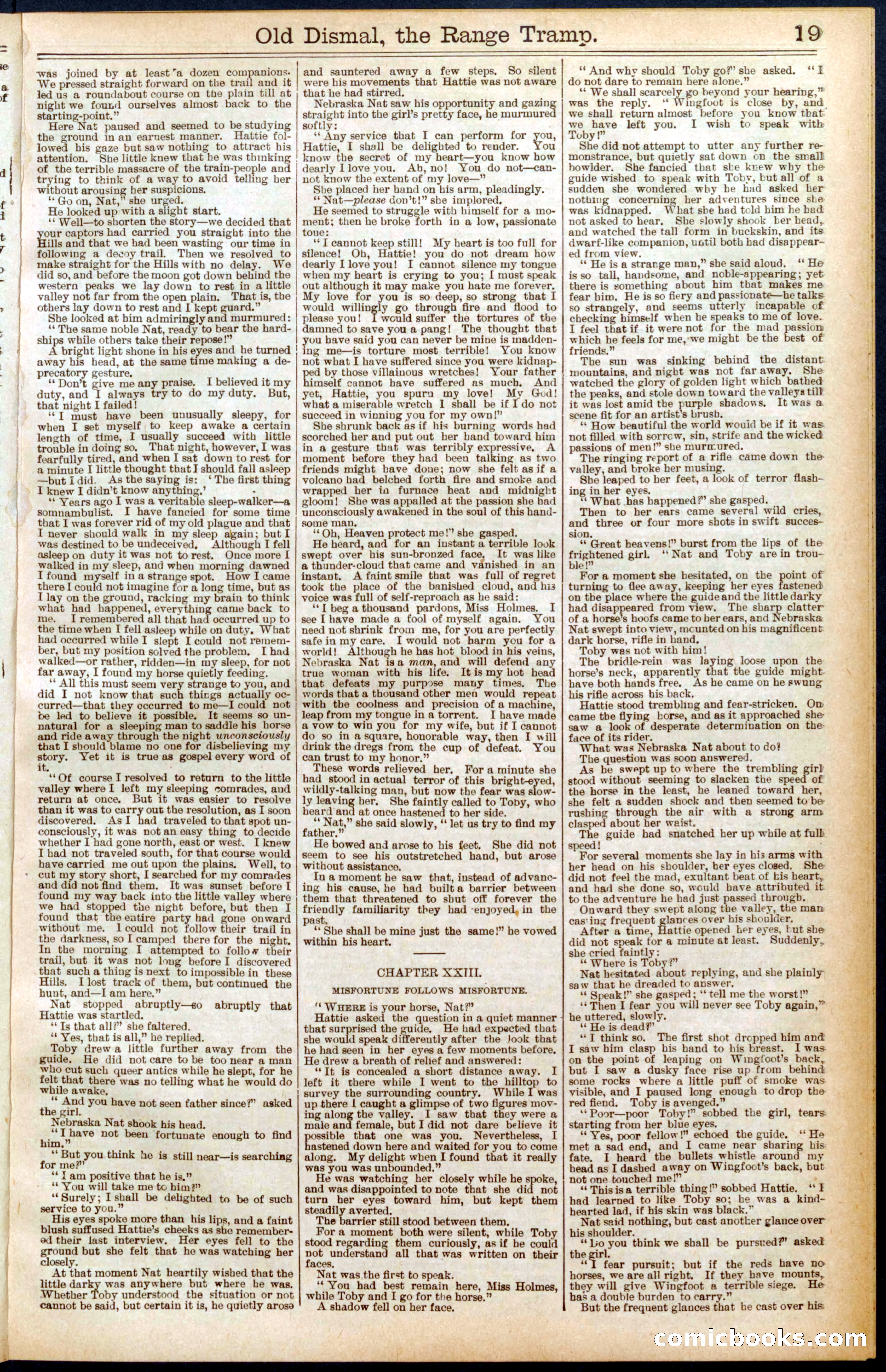Beadle's New York Dime Library, No. 571 — page 19 of 32