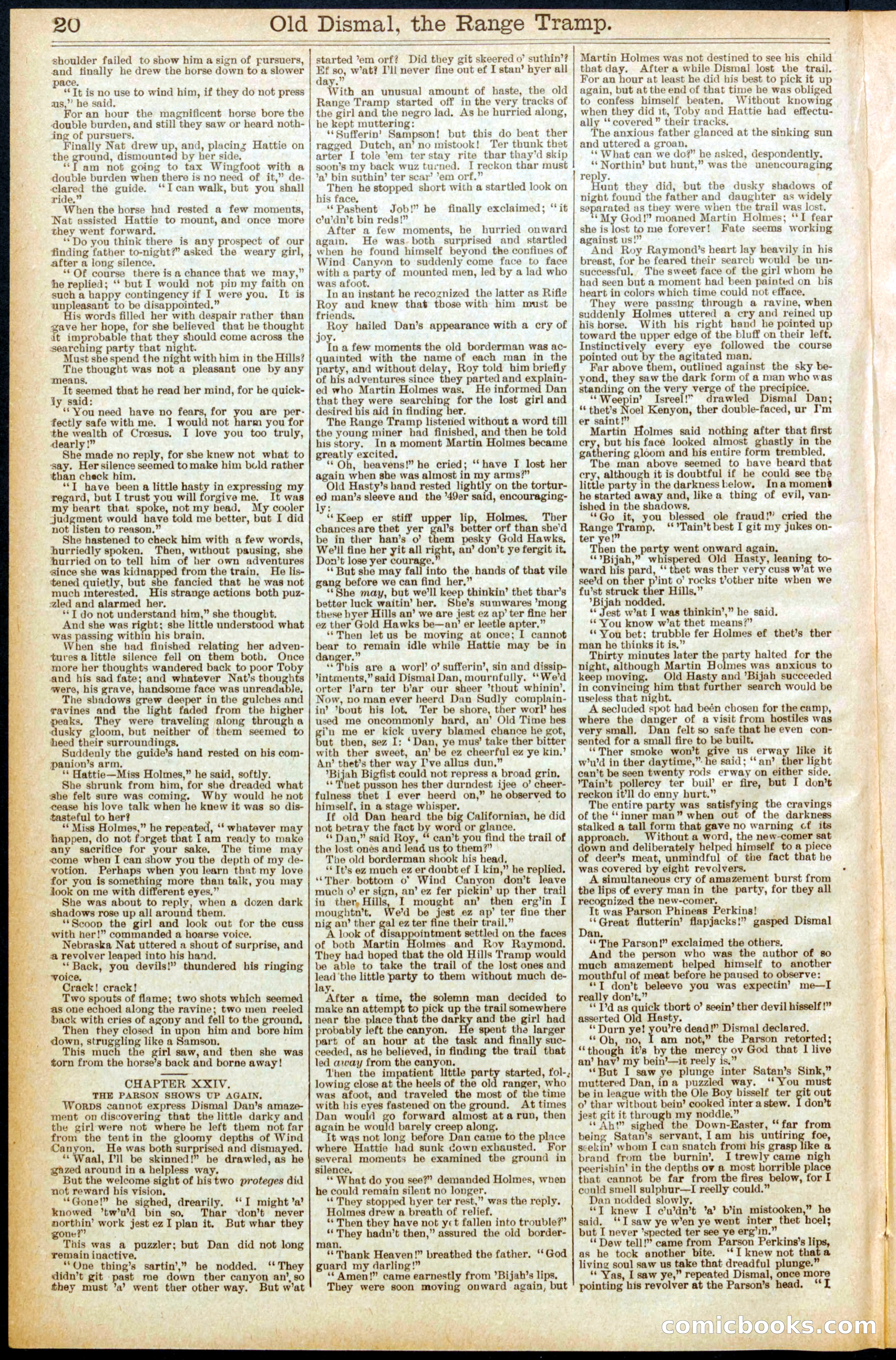 Beadle's New York Dime Library, No. 571 — page 20 of 32