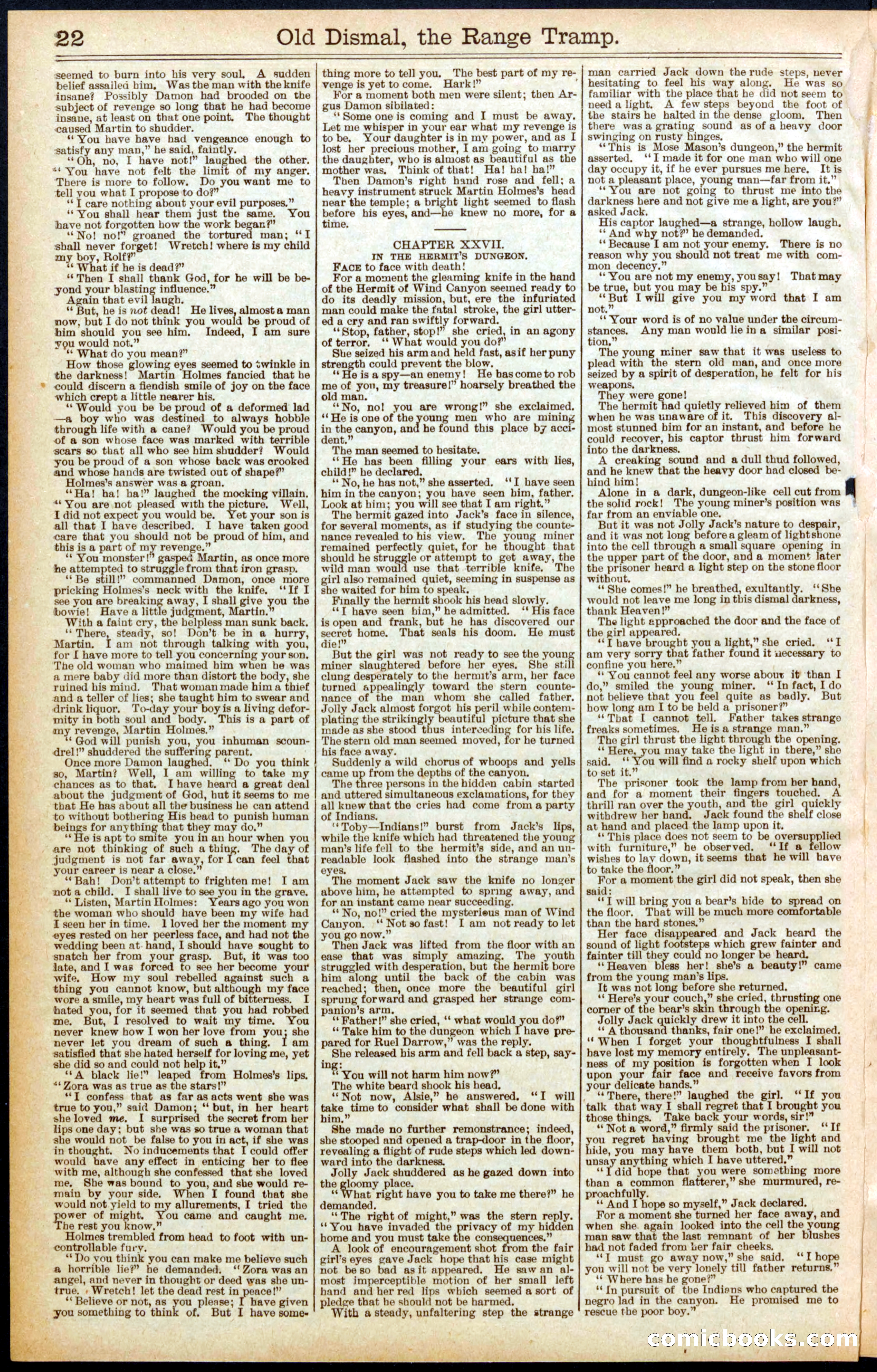Beadle's New York Dime Library, No. 571 — page 22 of 32