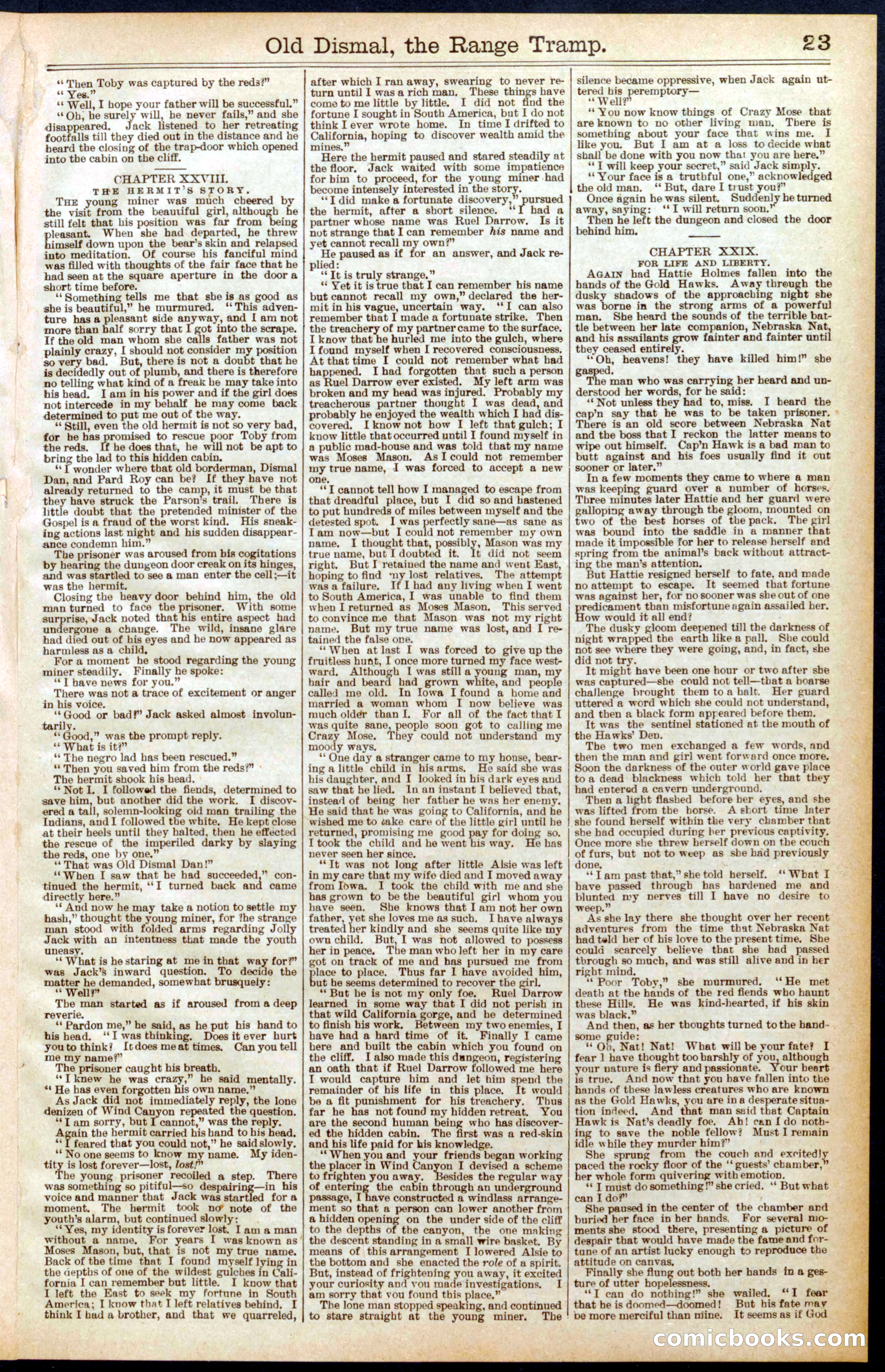 Beadle's New York Dime Library, No. 571 — page 23 of 32