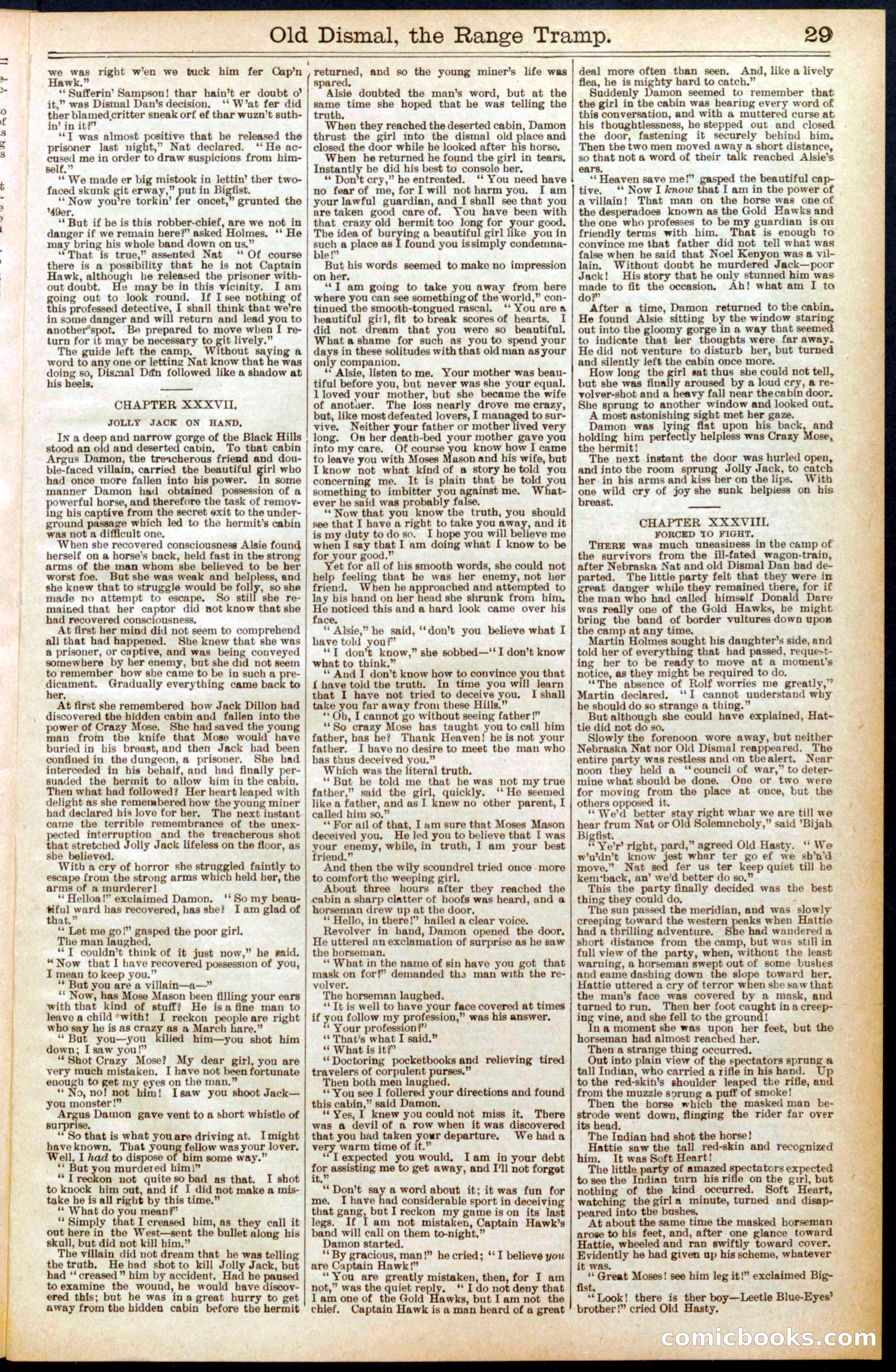 Beadle's New York Dime Library, No. 571 — page 29 of 32