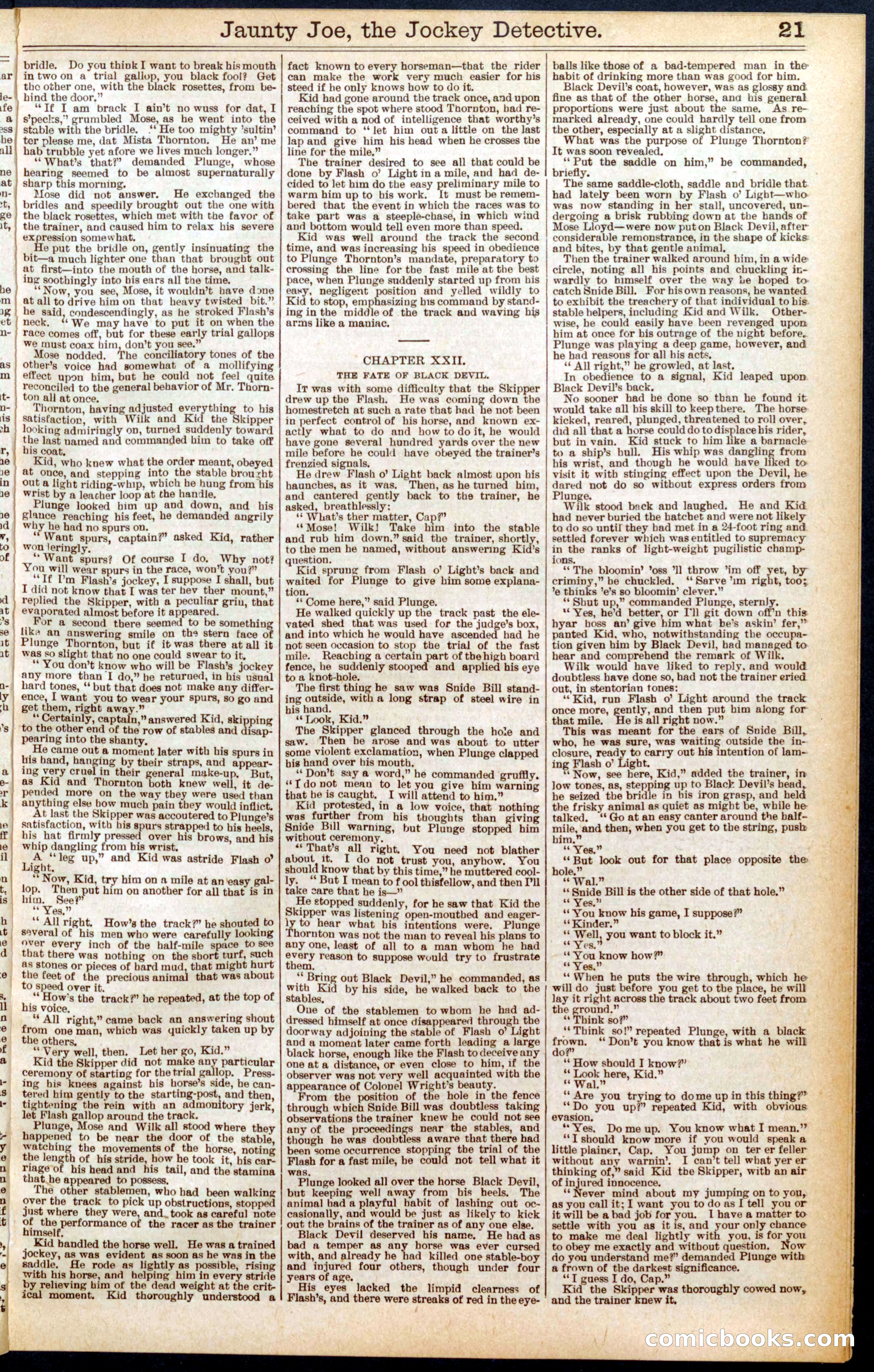 Beadle's Dime Library No. 572 — page 21 of 32