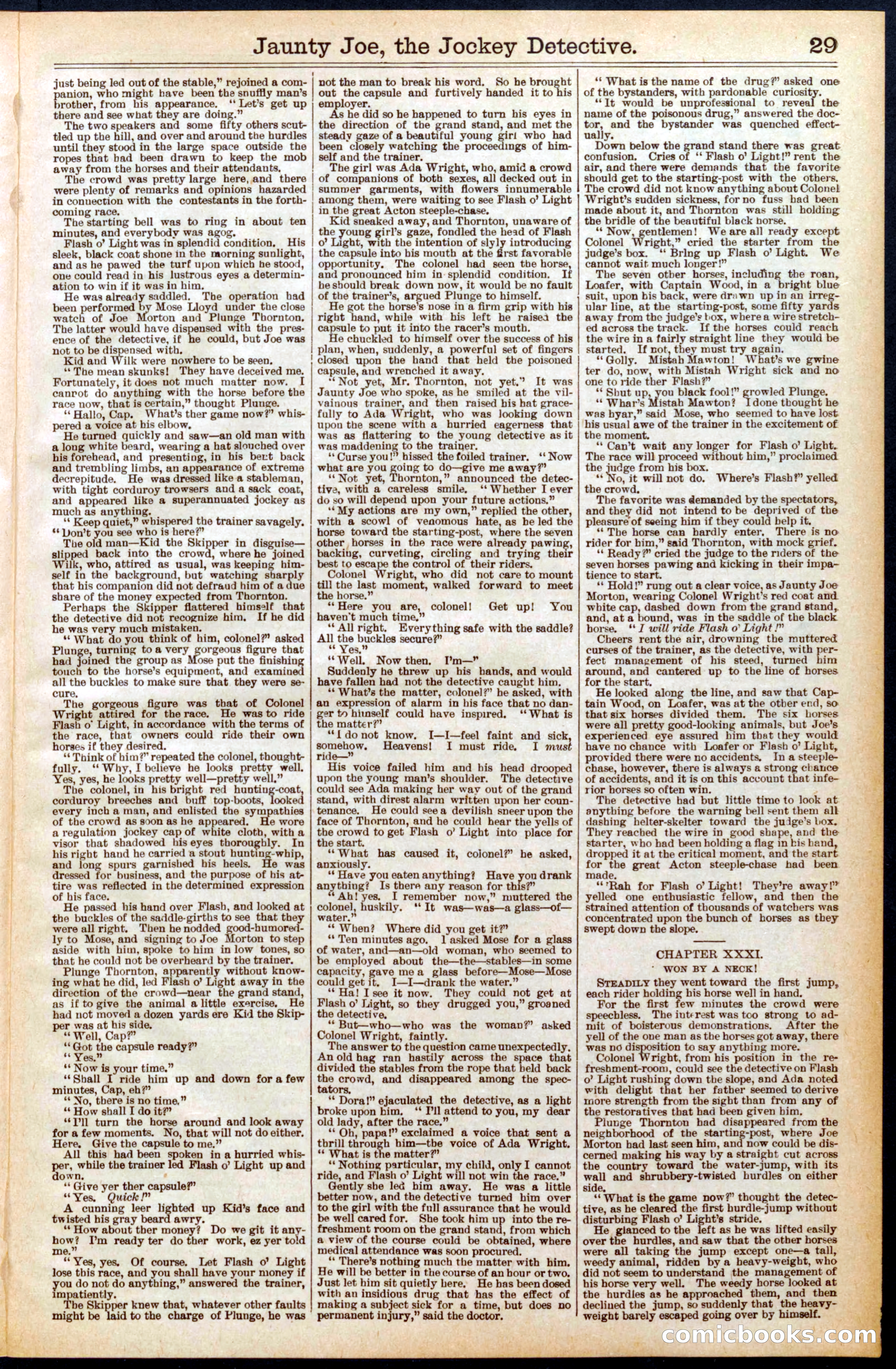Beadle's Dime Library No. 572 — page 29 of 32