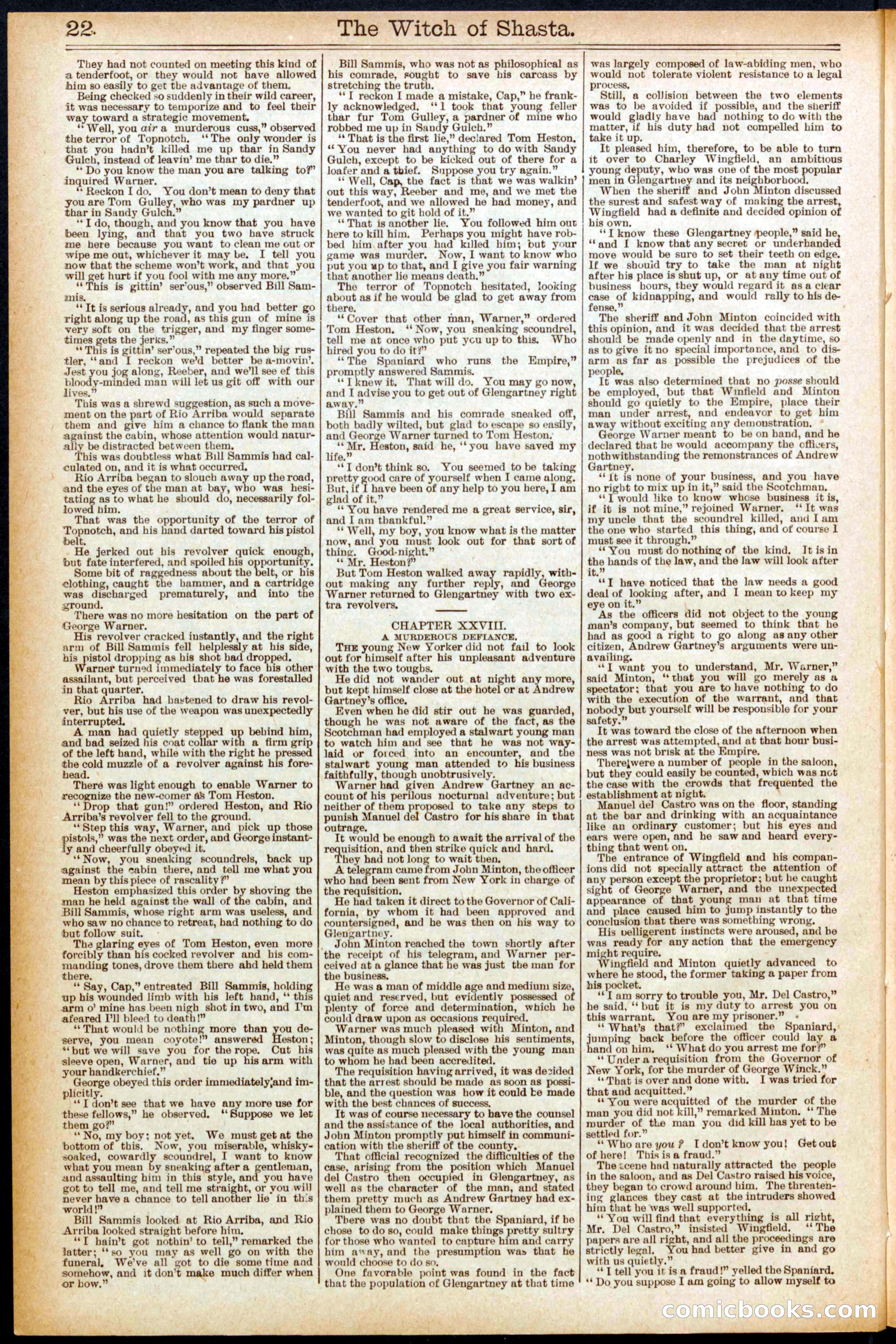 Beadle's New York Dime Library No. 573 — page 22 of 32
